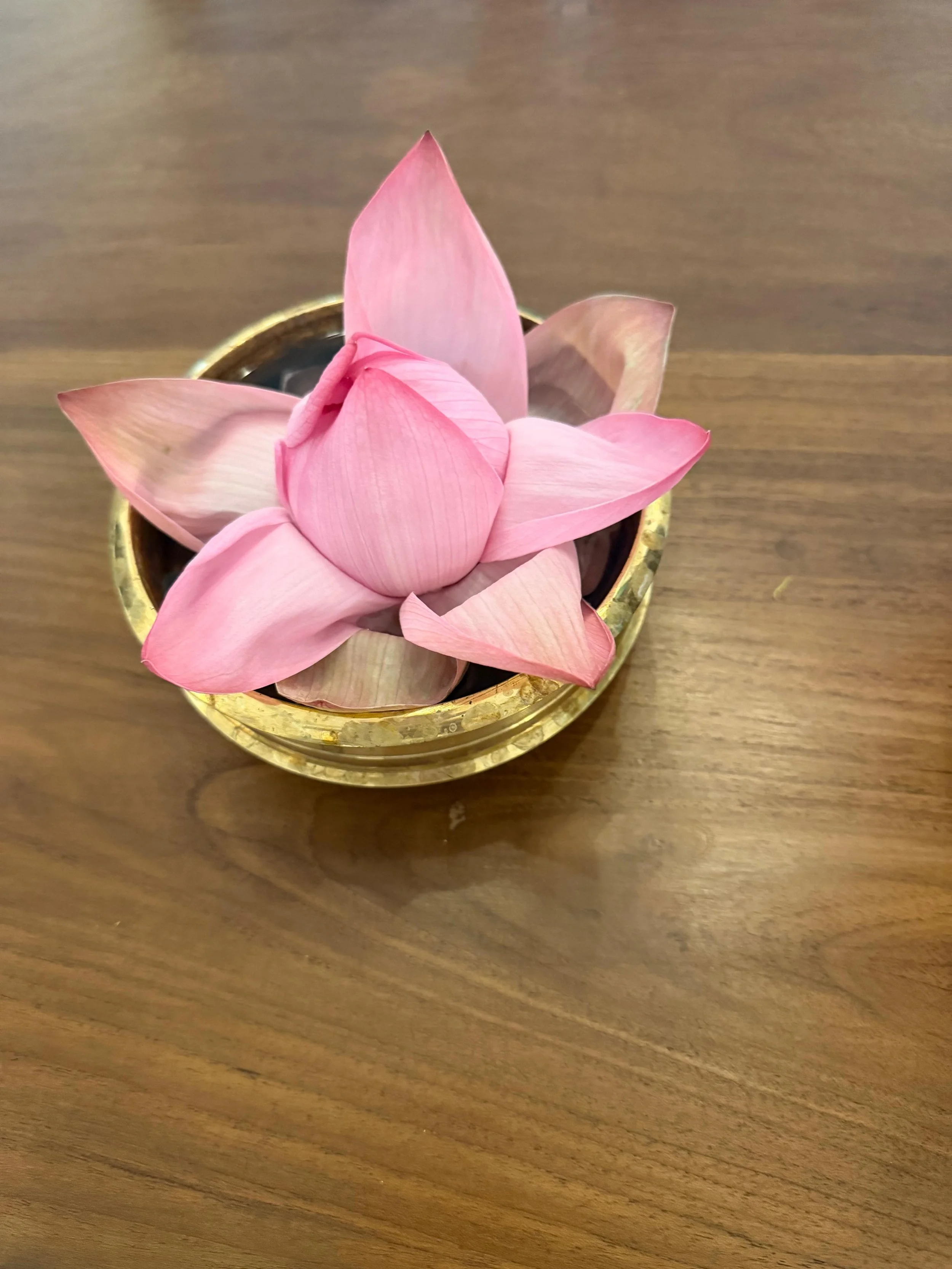 flower.jpg