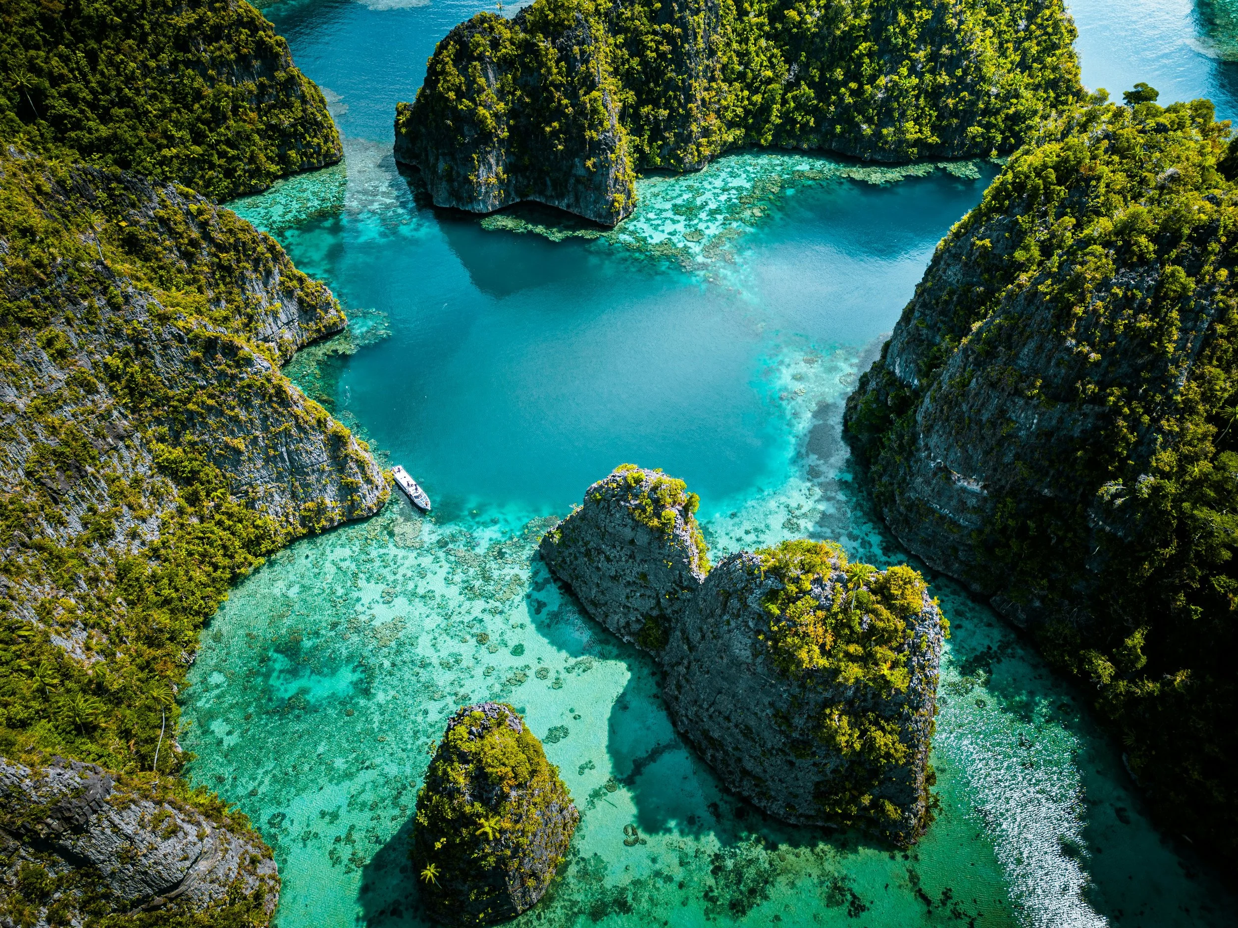 Diving into Southeast Asia for the Holidays