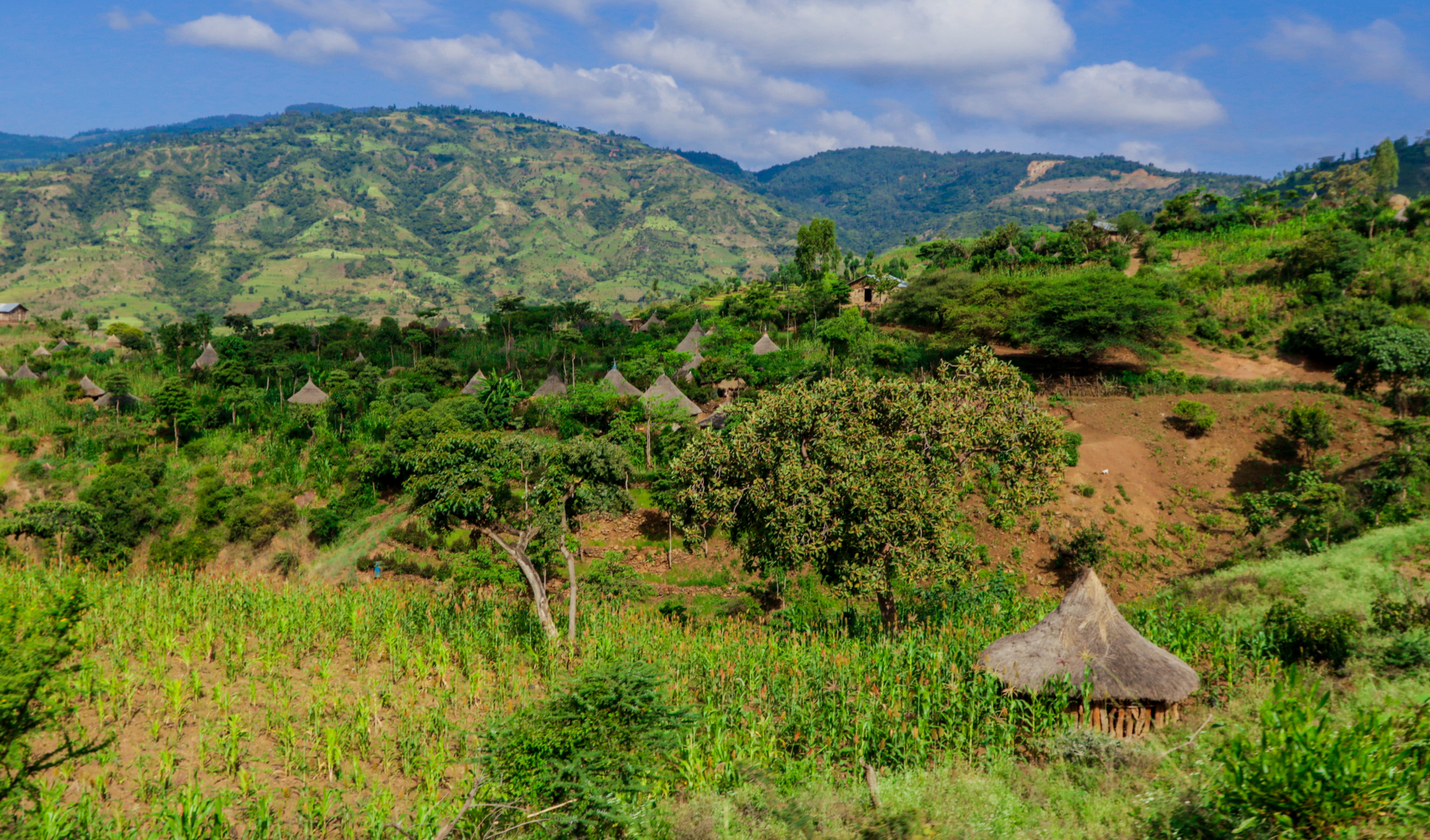 Untitled design (18).png