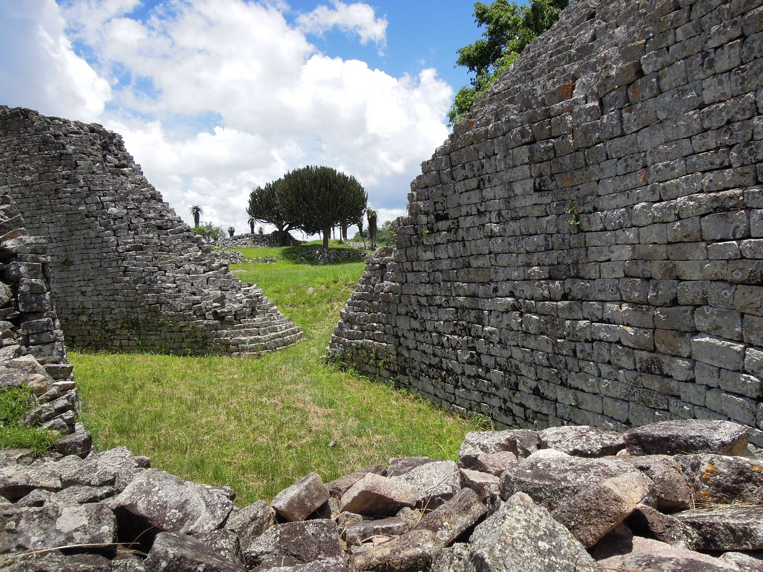 GZR - Credit Grace Donovan.JPG