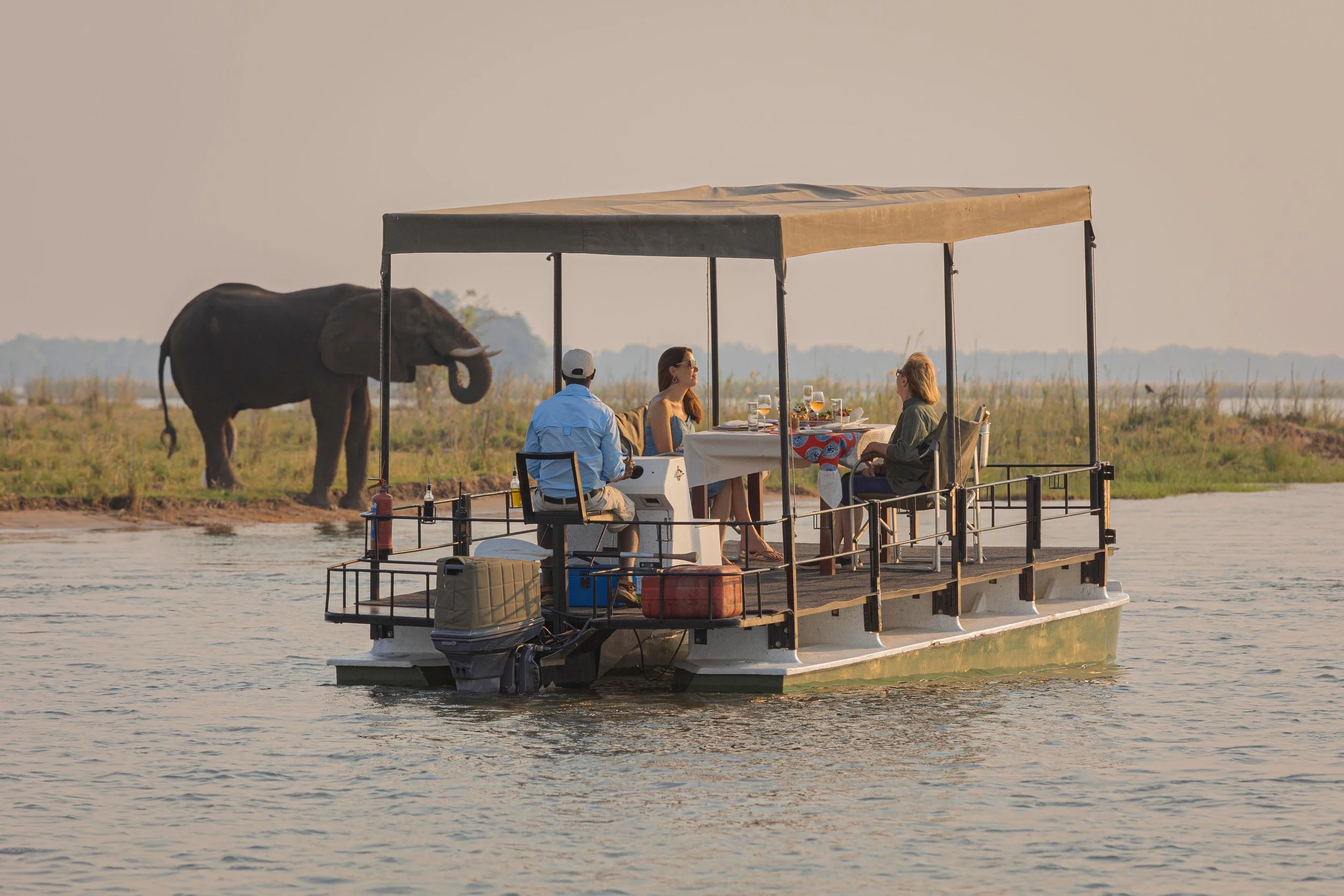 RZL Floating Lunch_elephant.jpg
