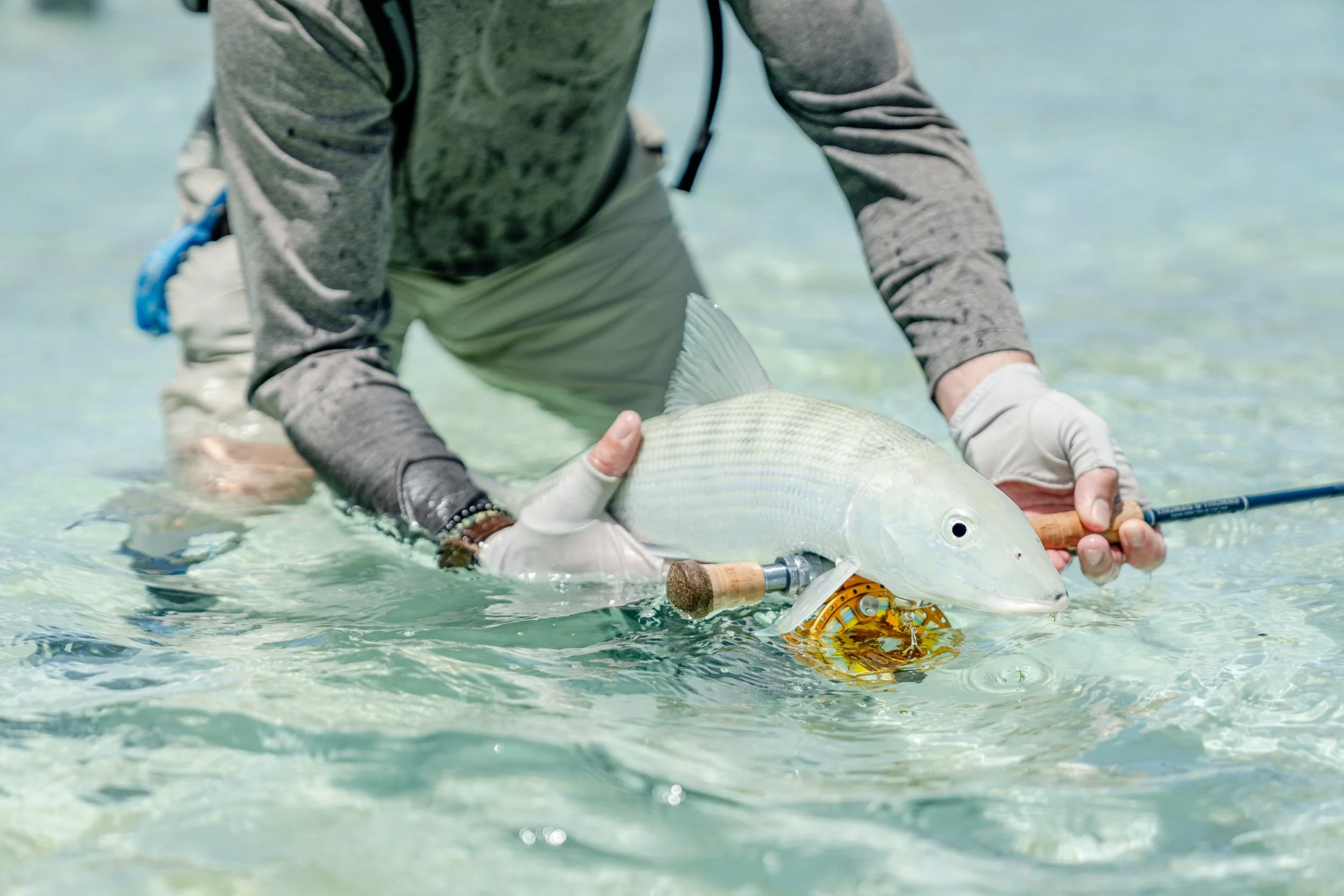 DSC04084_BRIAN CHAKANYUKA FlyFishing Blue Safari Alphonse.jpg