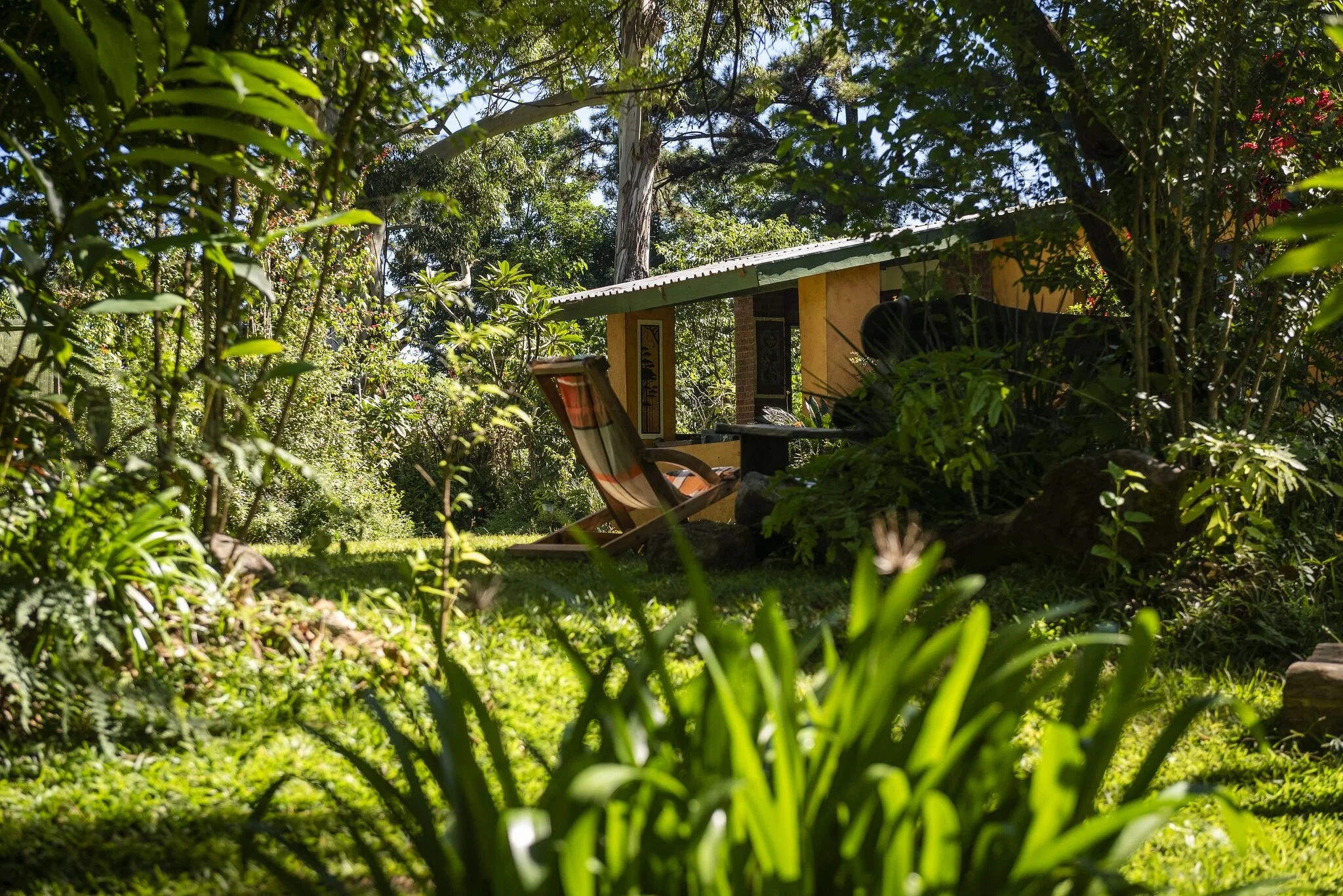 Zomba Forest Lodge Exterior.jpeg