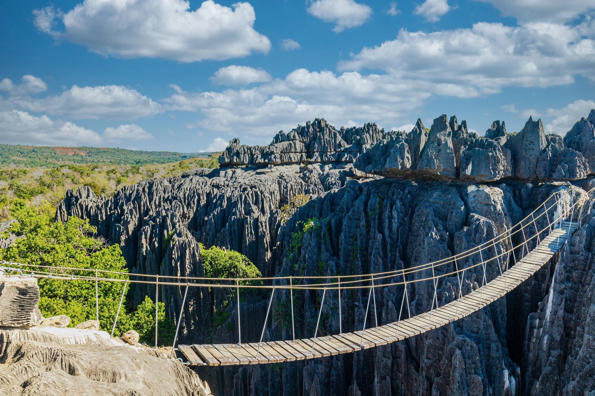 Ankarana Tsingy Suspension Bridge.jpg
