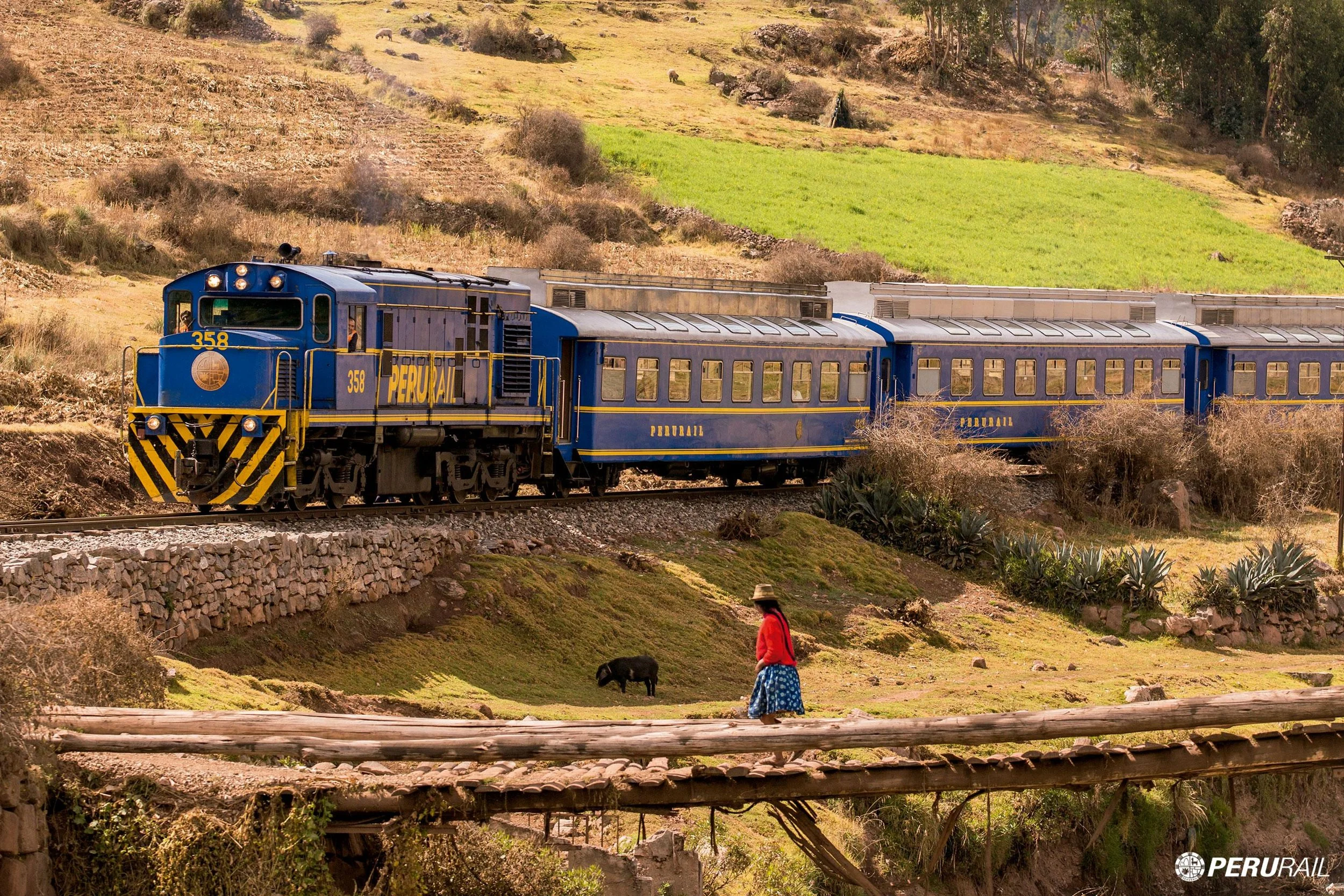 Peru_Machu Picchu_Standard Train_TropicEco.jpg