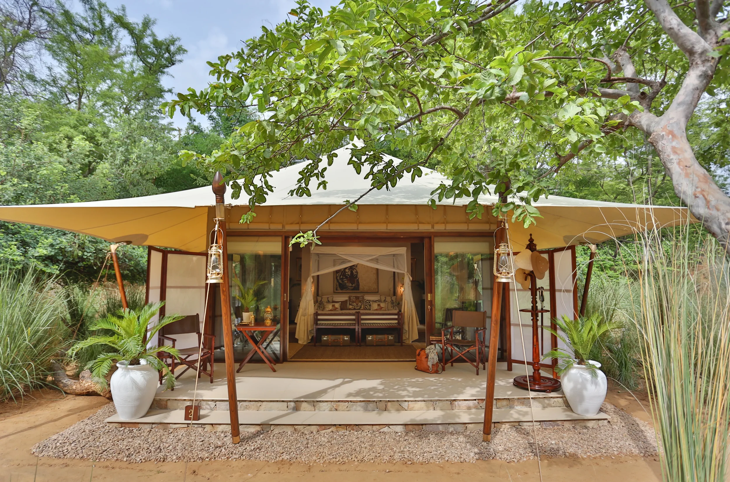 Sher Bagh, Ranthambore National Park.webp