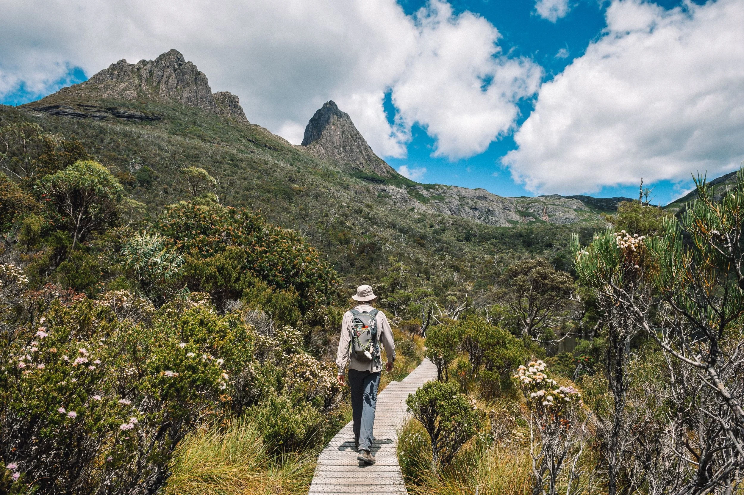 Hiking Trail near Cradle Mountain.jpg