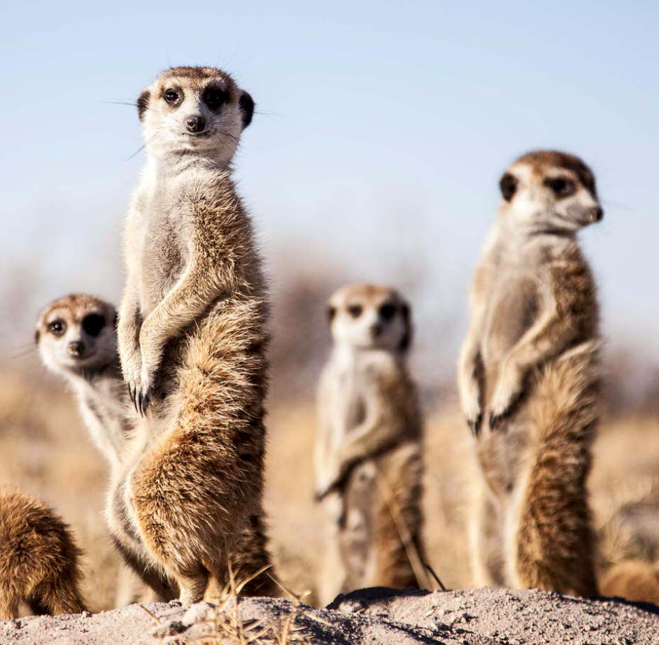 Screenshot 2025-10-06 at 3.12.01 PM.png