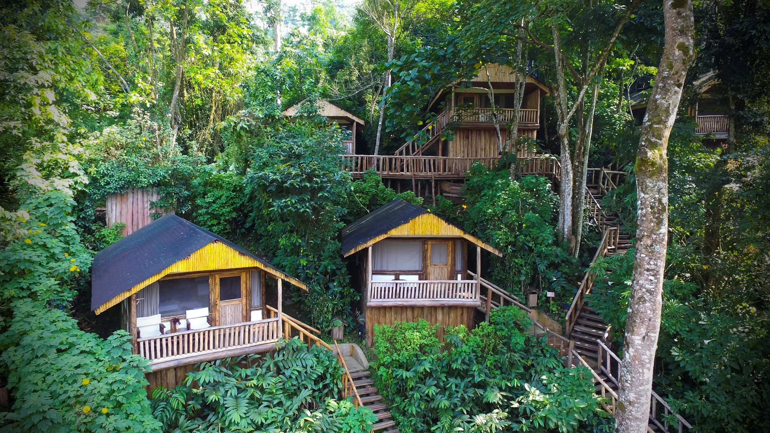 Buhoma Lodge Wild Frontiers Uganda (1).jpg