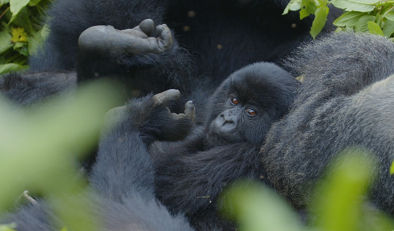 Screenshot 2025-12-11 085323.png