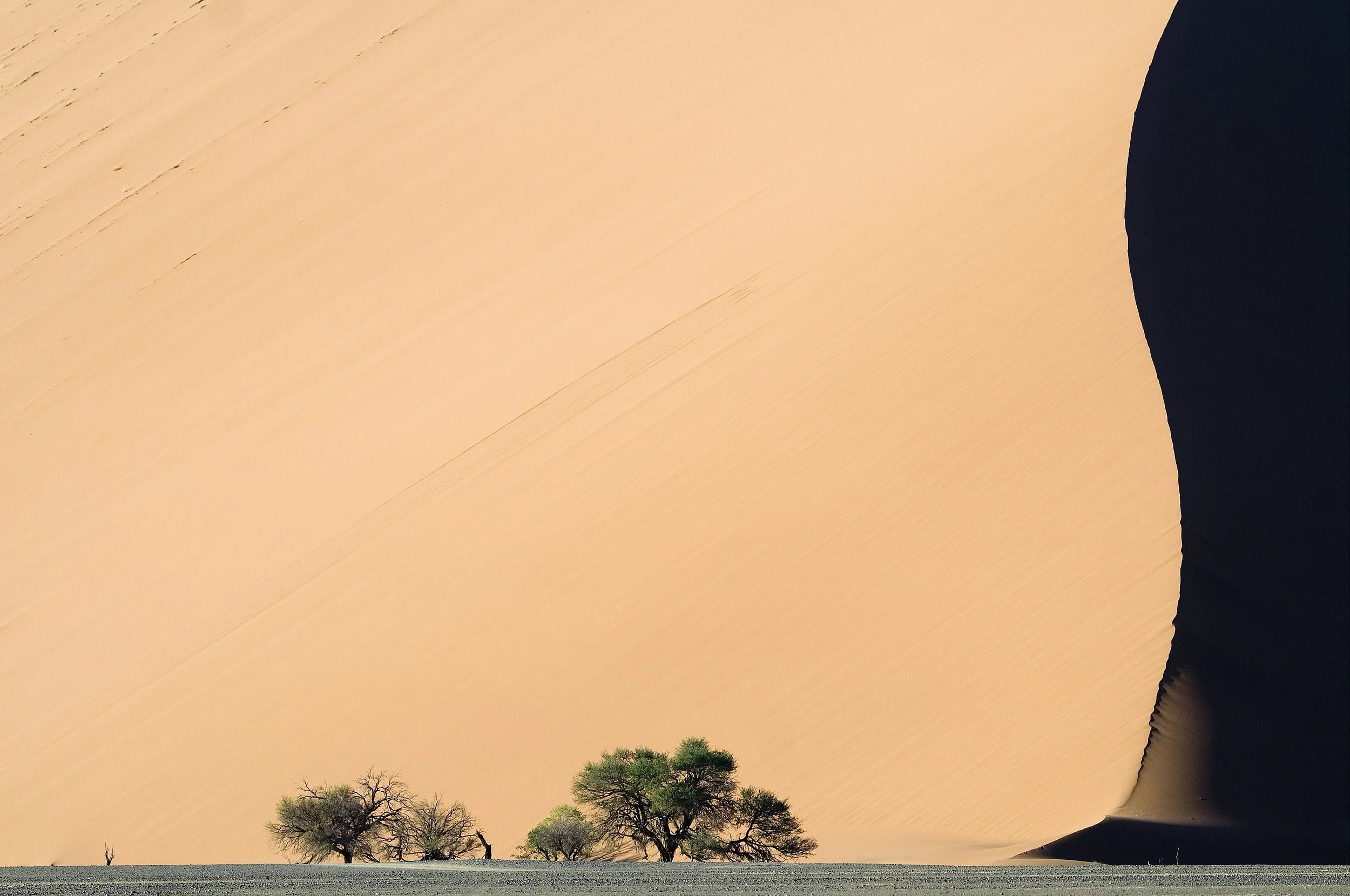 Sossusvlei Dune magnitude_credit Wilderness Dana Allen.jpg