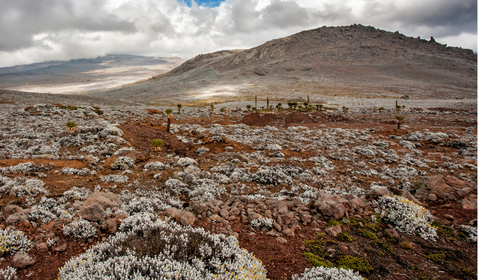 Untitled design (14).png