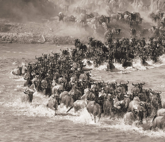 Screenshot 2025-10-14 152941.png