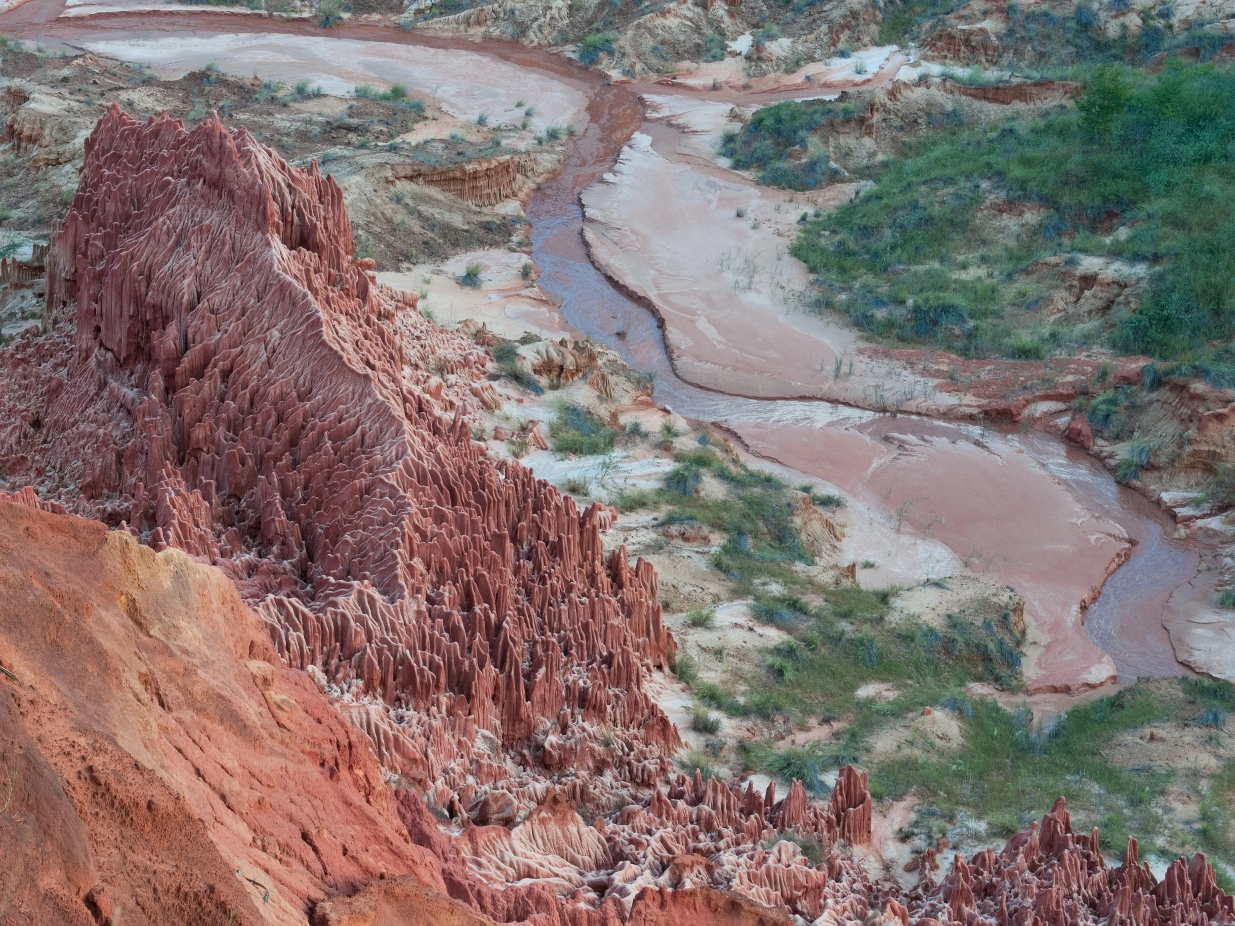Tsingy Red Granite Forest Resize Smaller .jpg