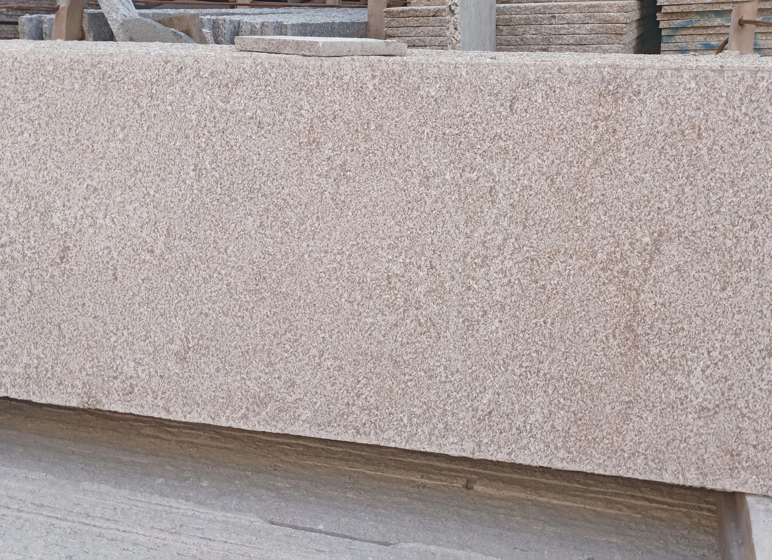 WeChat Image_20230315122949.jpg