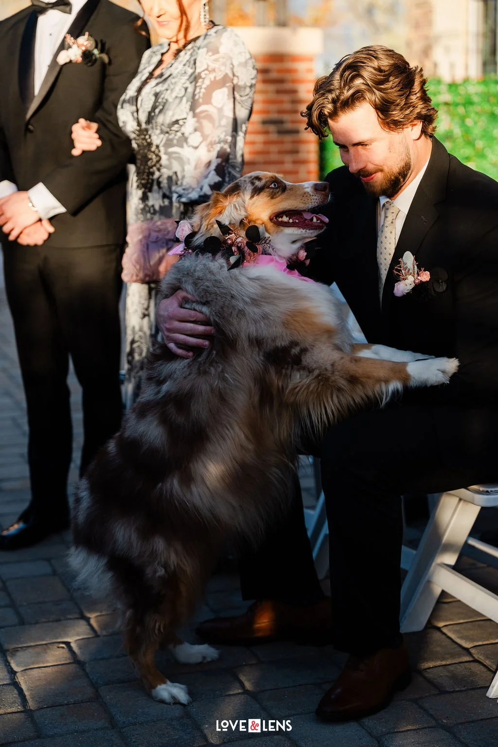 A man in a suit holding an Australian shepherd dog in his lap, with a woman and man dressed in formal attire standing in the background, during a wedding or celebration.