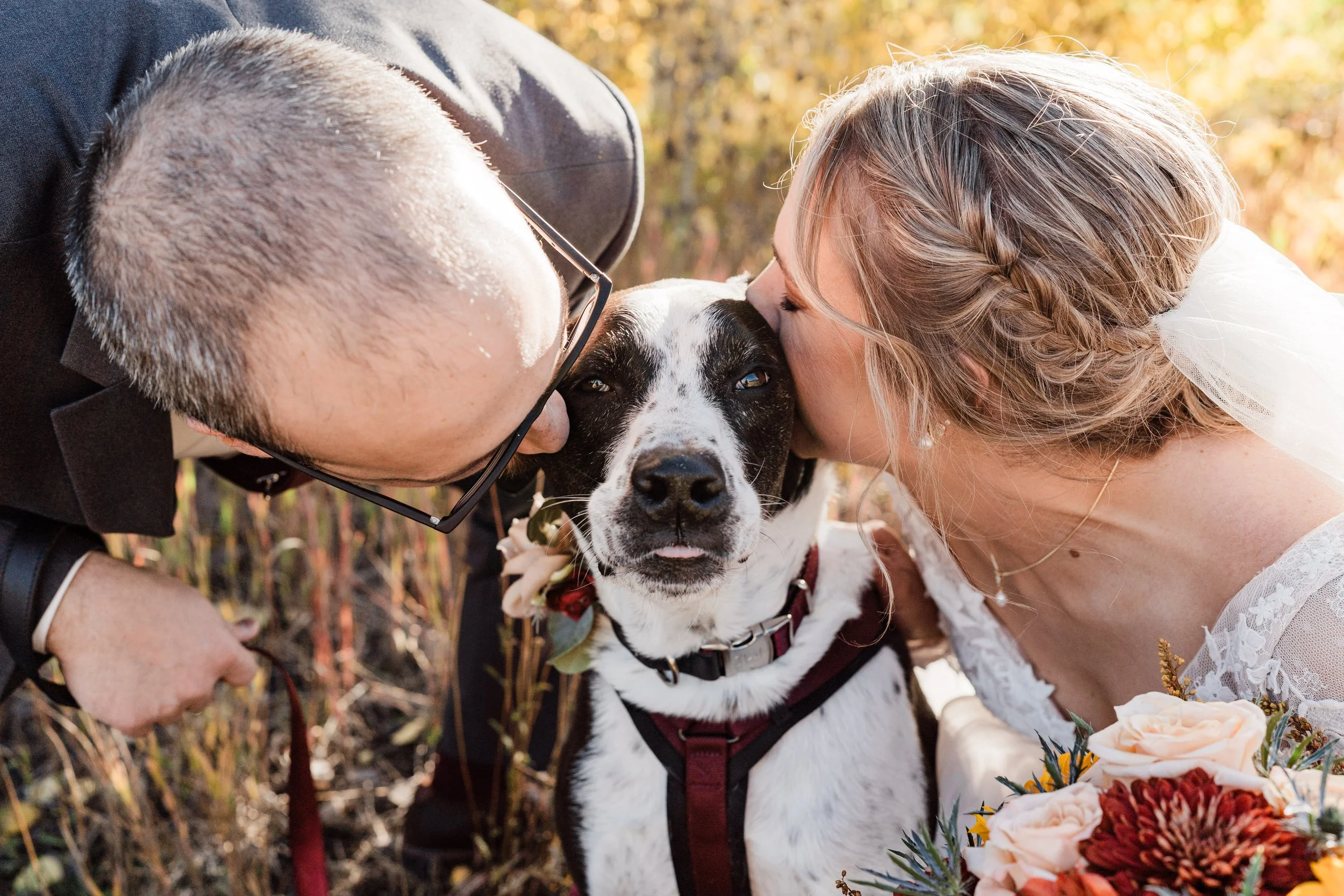 A couple kissing their dog on the head during a wedding in an outdoor autumn setting, with the woman holding a bouquet of flowers.