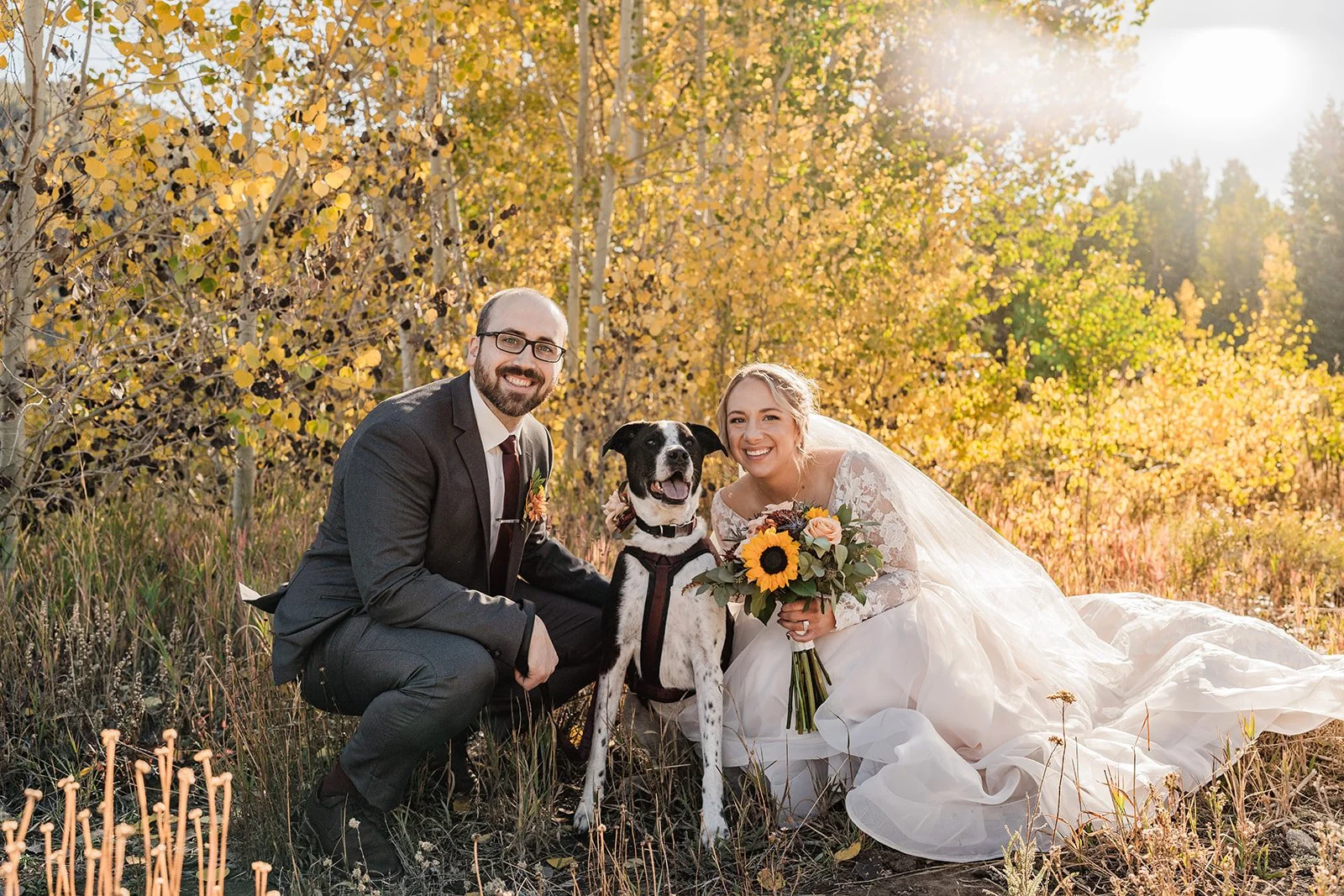 A newlywed couple and their dog in a sunny outdoor setting with trees and autumn foliage, the groom in a black suit and the bride in a lace wedding dress holding a bouquet of sunflowers, all smiling.