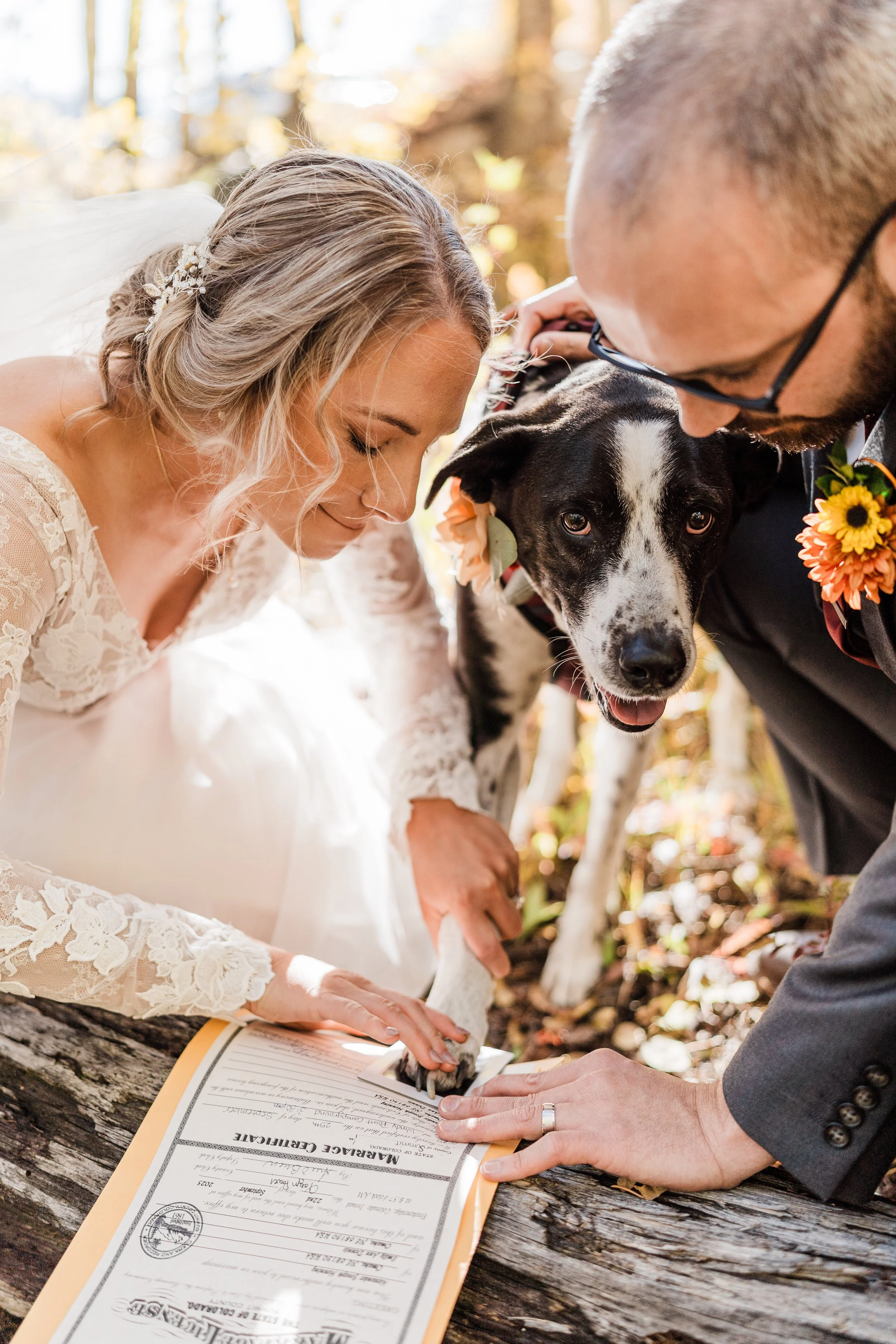 A bride and groom signing their marriage certificate outdoors with their dog between them during a wedding ceremony.