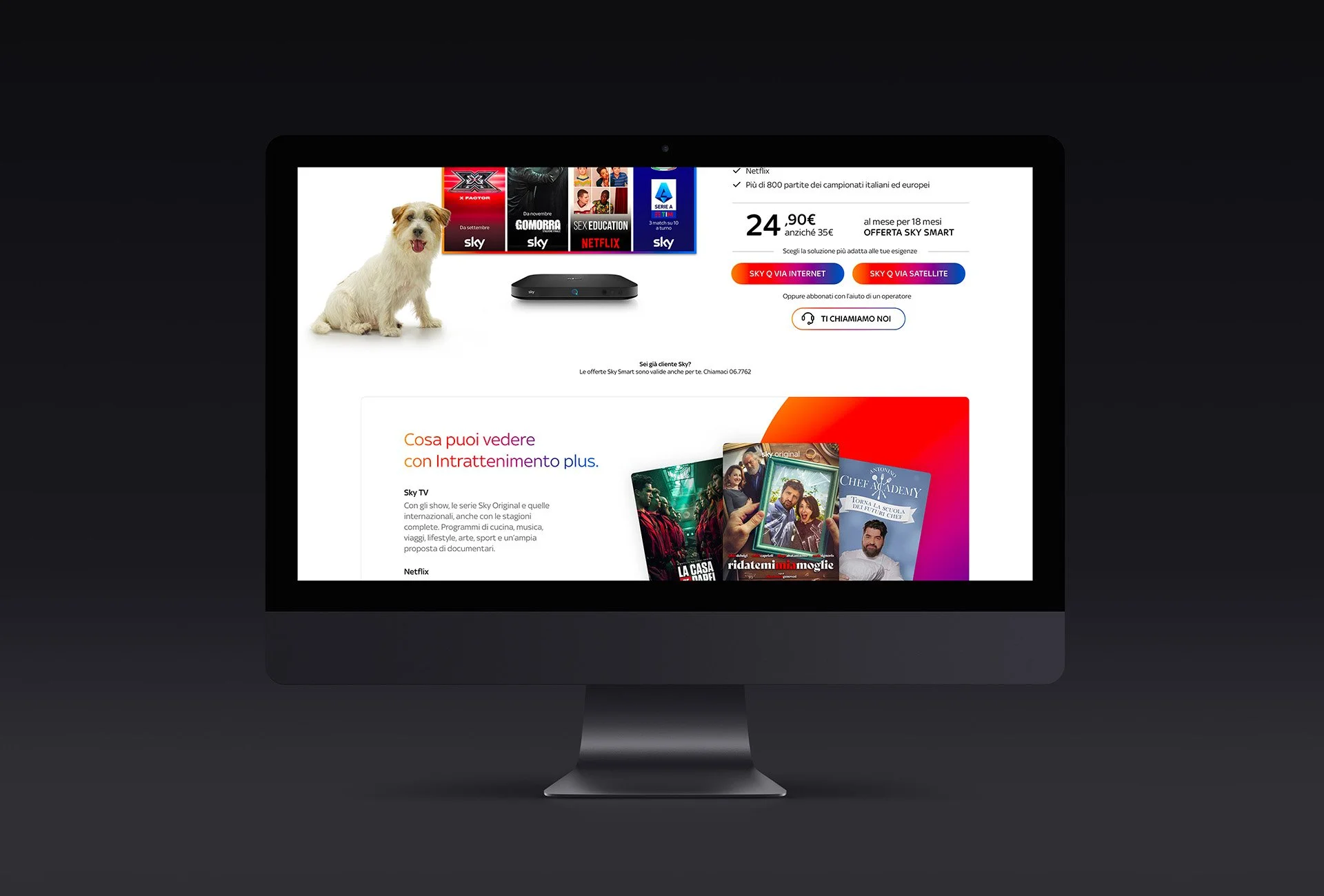 portfolio-image_sky-desktop-screen-3.jpg