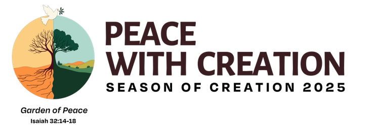 Preparing for the Season of Creation - An APLM Webinar with the Rev. Samuel Torvend