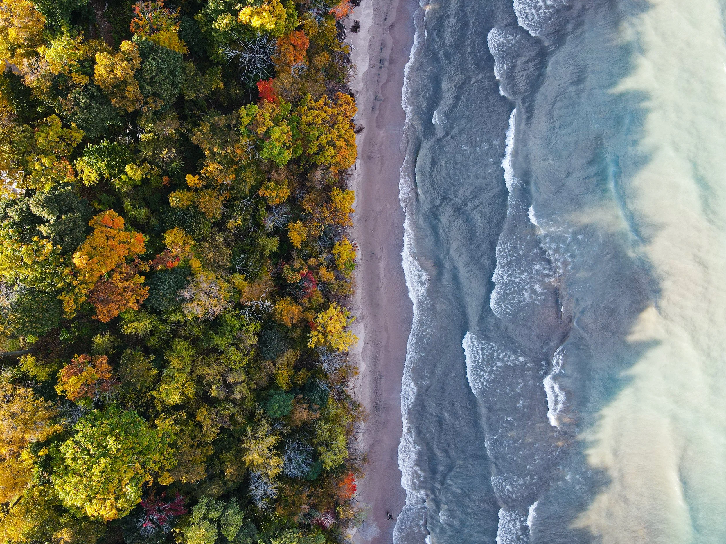 Atwater Beach Fall Beauty