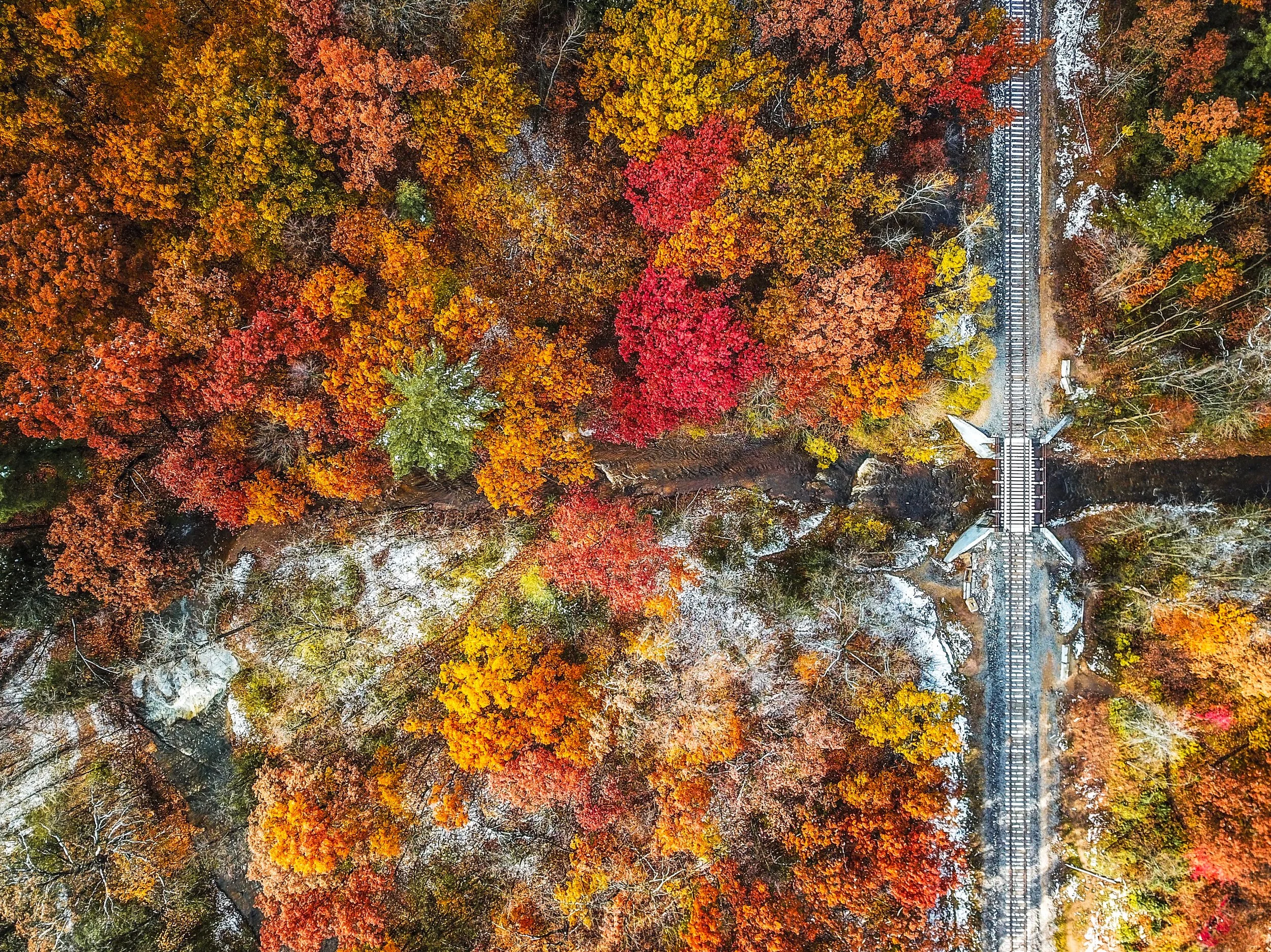 Bairds Creek Fall/Winter Wonderland