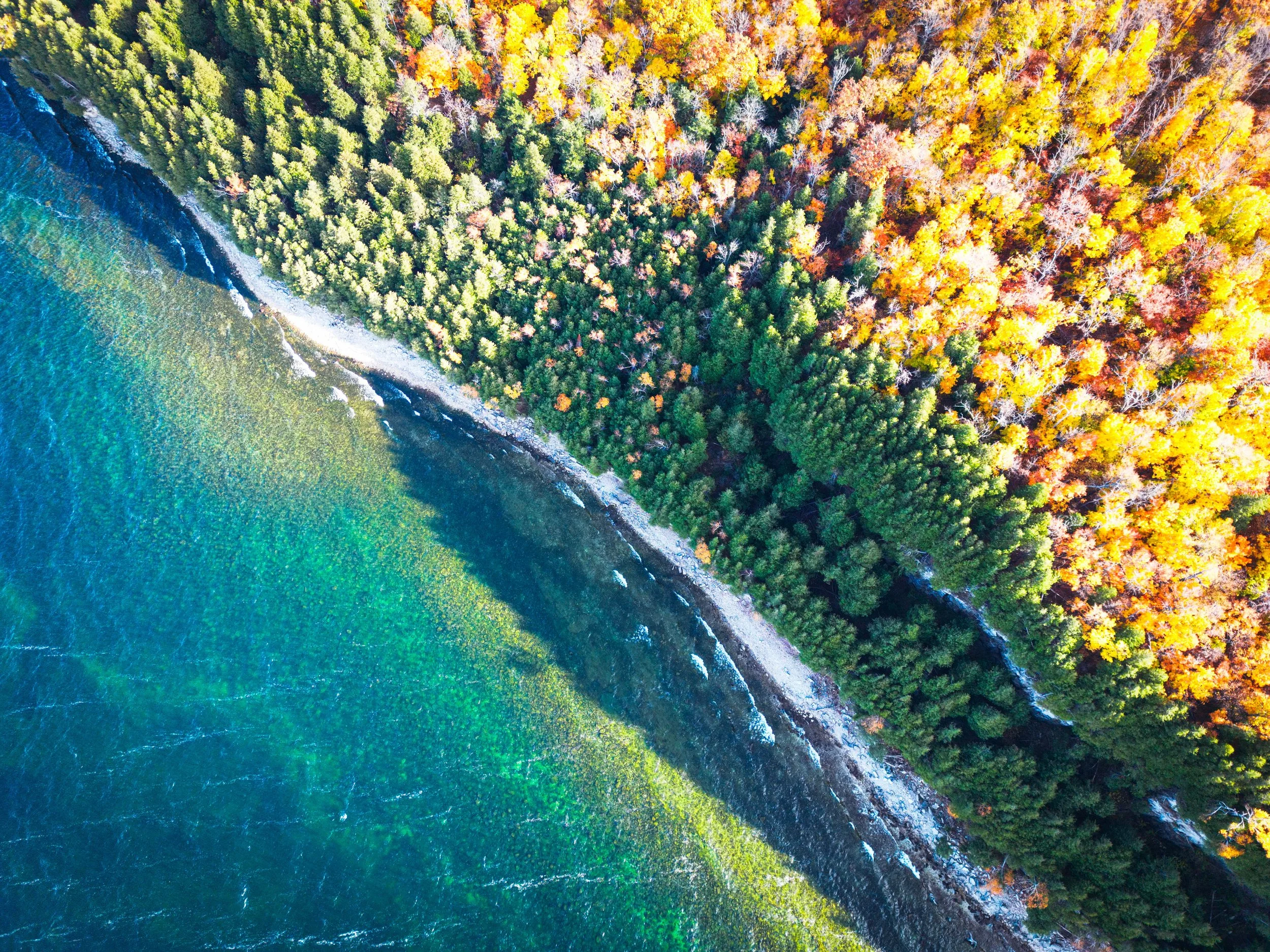 Door Bluff Fall Foliage Coastline