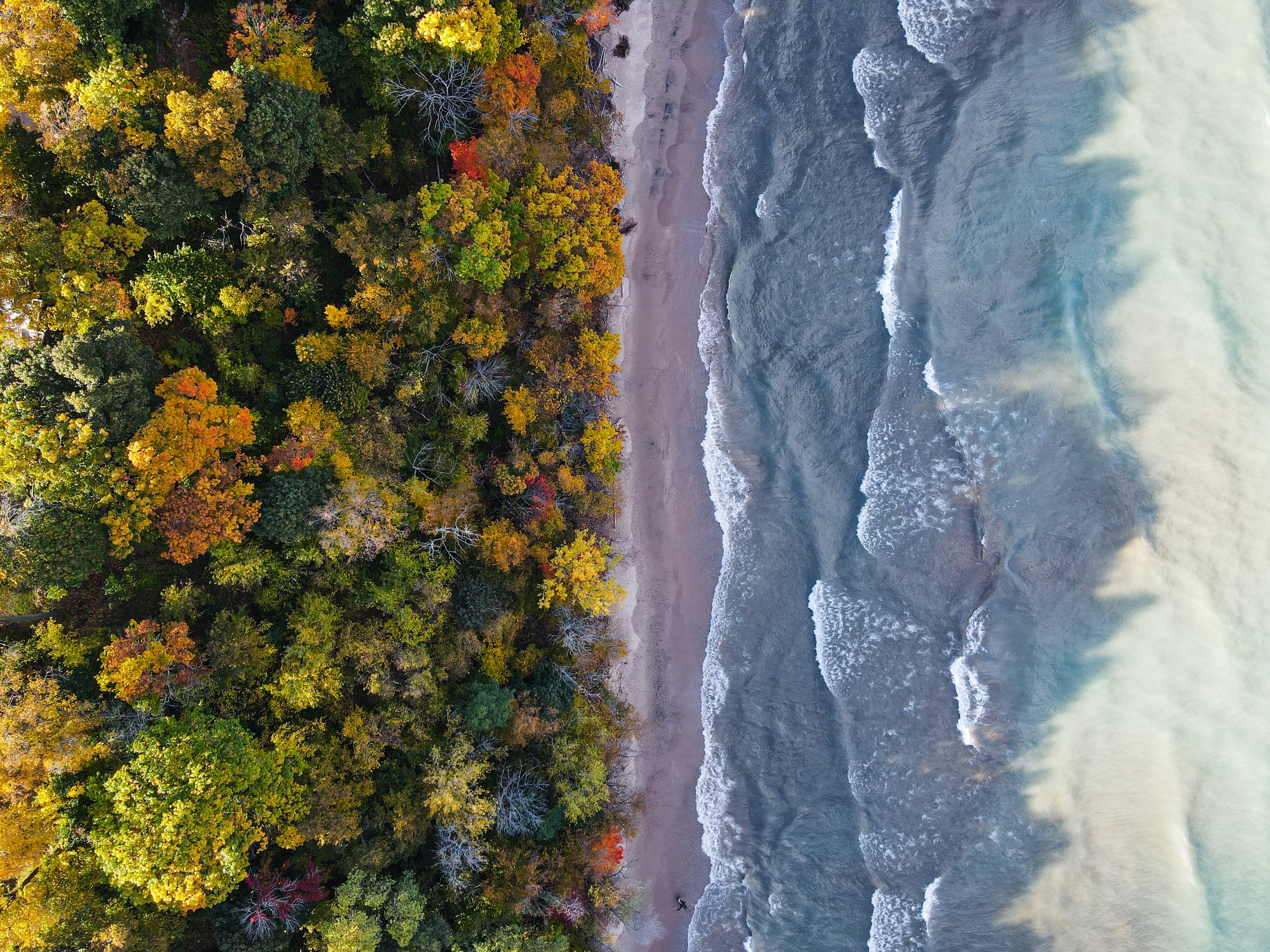 Commercials and Advertisements