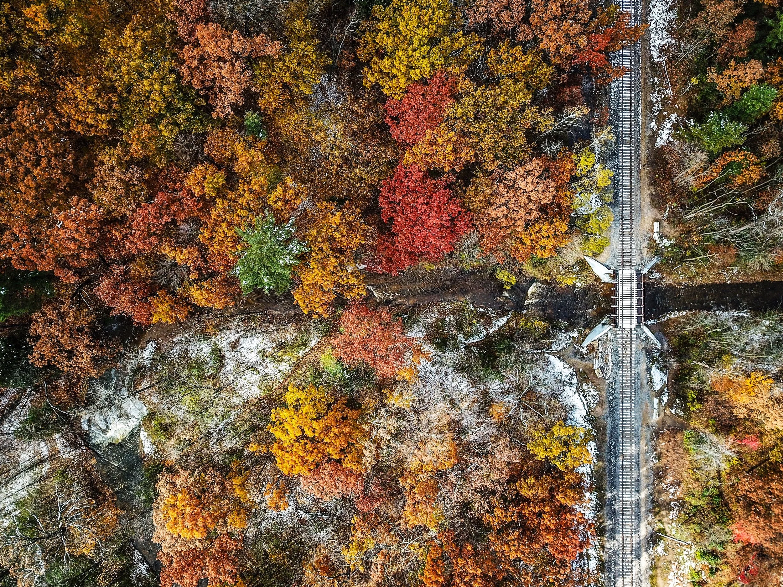 Railroad to Autumn