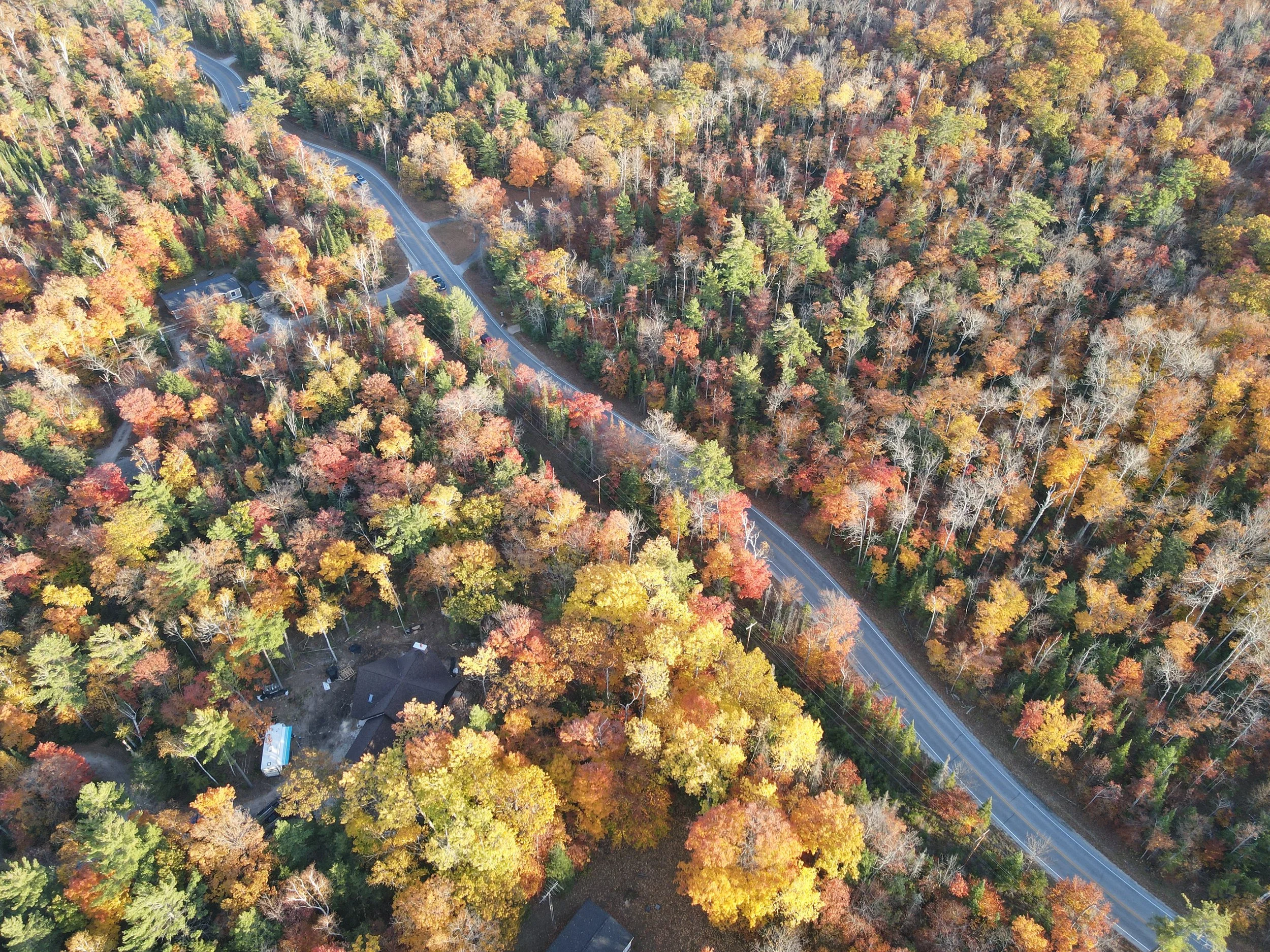 Door County Winding Road