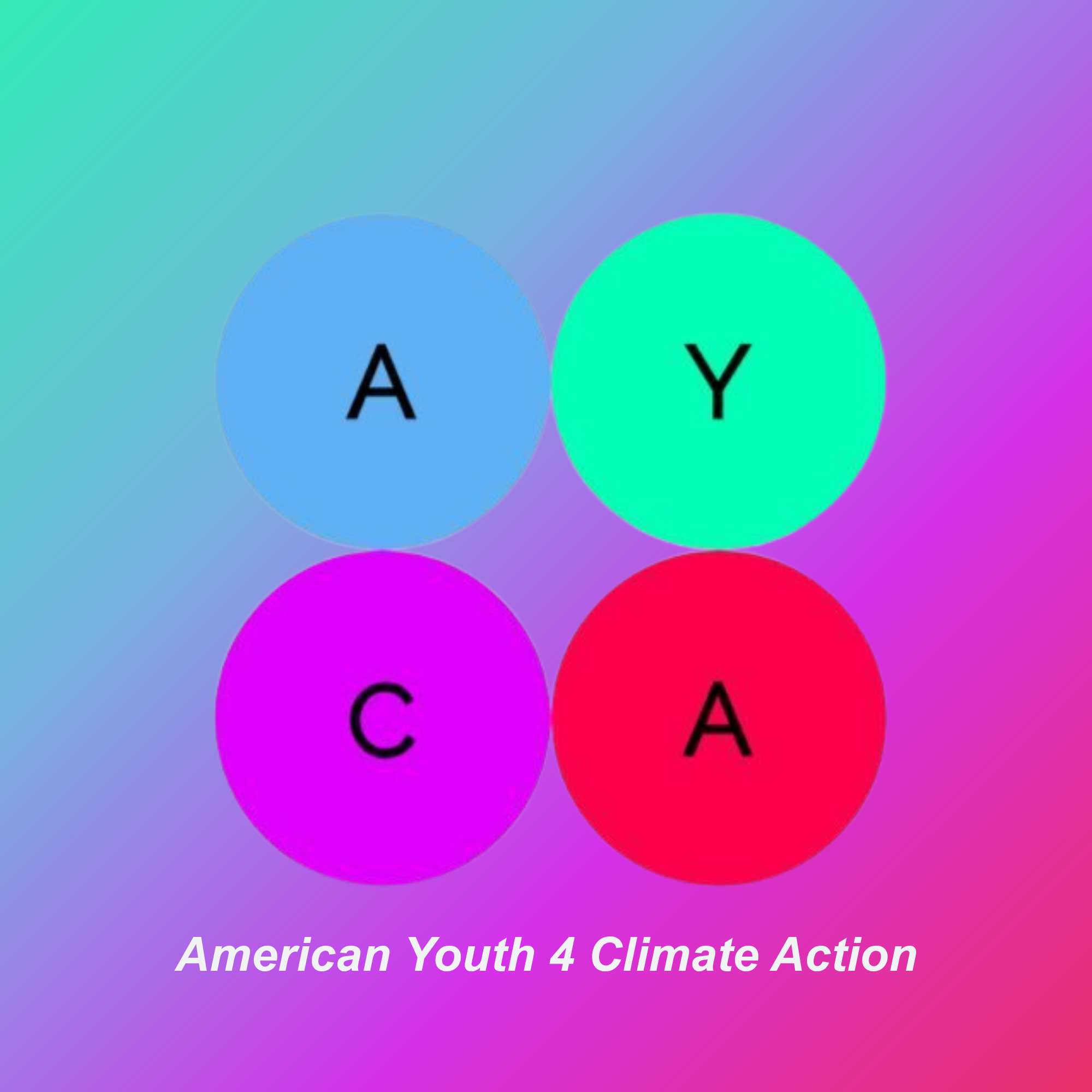 Colorful graphic with four circles labeled A, Y, C, and A, representing American Youth 4 Climate Action. This graphic shows that American Youth 4 Climate Action has endorsed Michael for RTD.