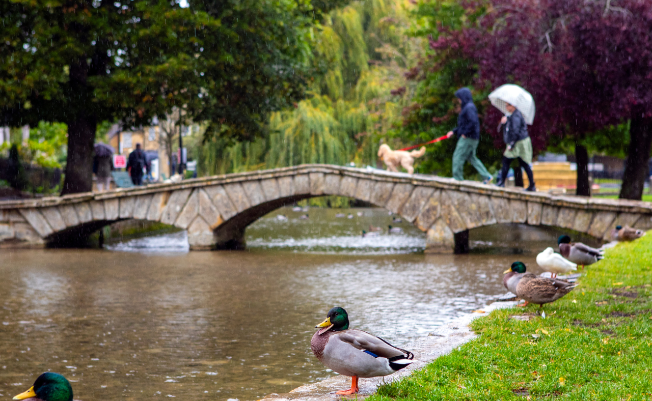 Untitled (1280 x 788 px) (29).png