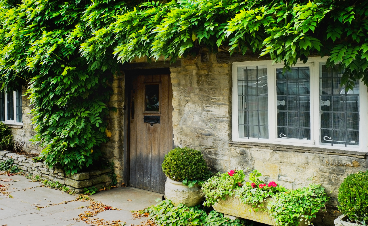 Untitled (1280 x 788 px) (5).png