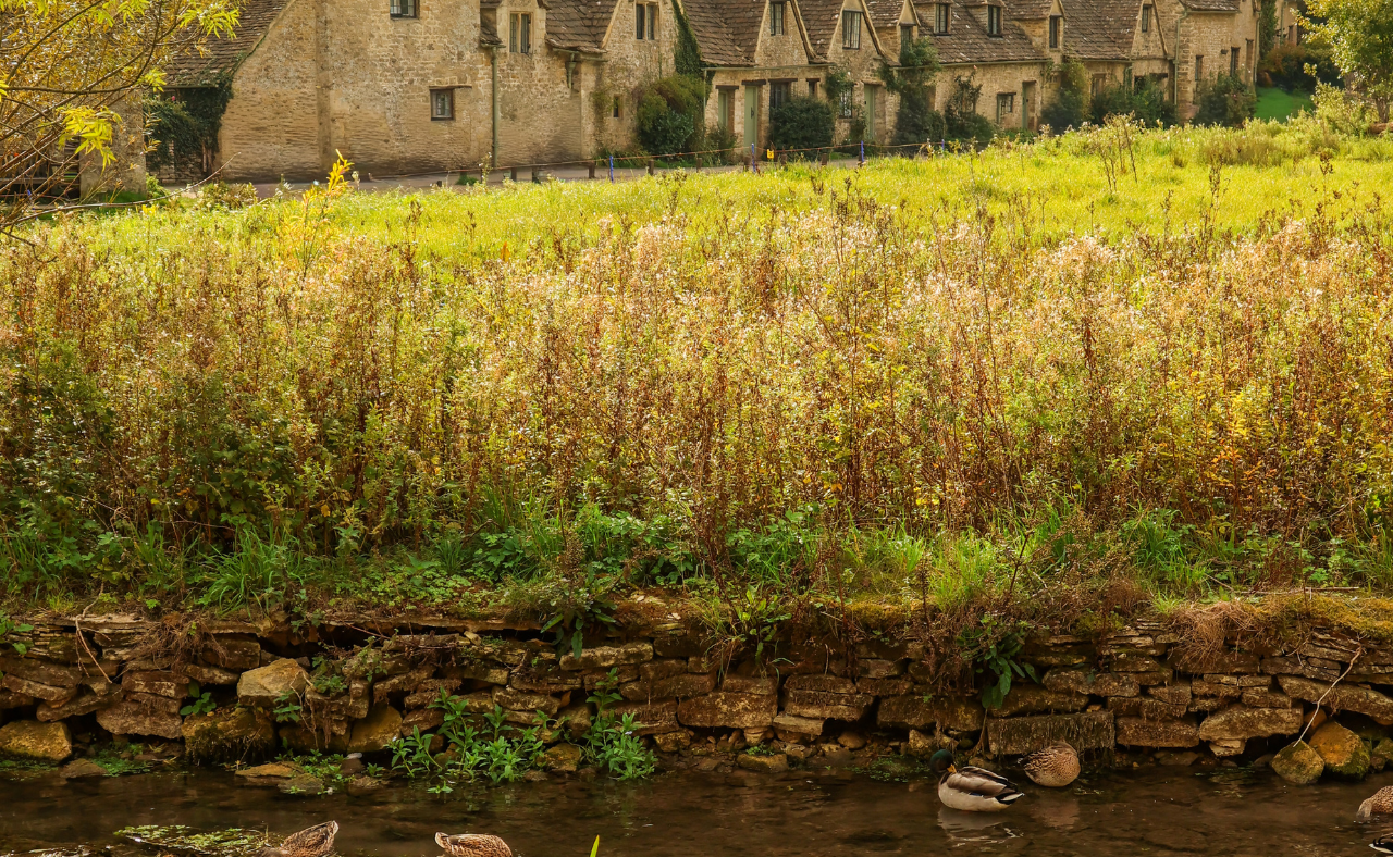 Untitled (1280 x 788 px) (11).png