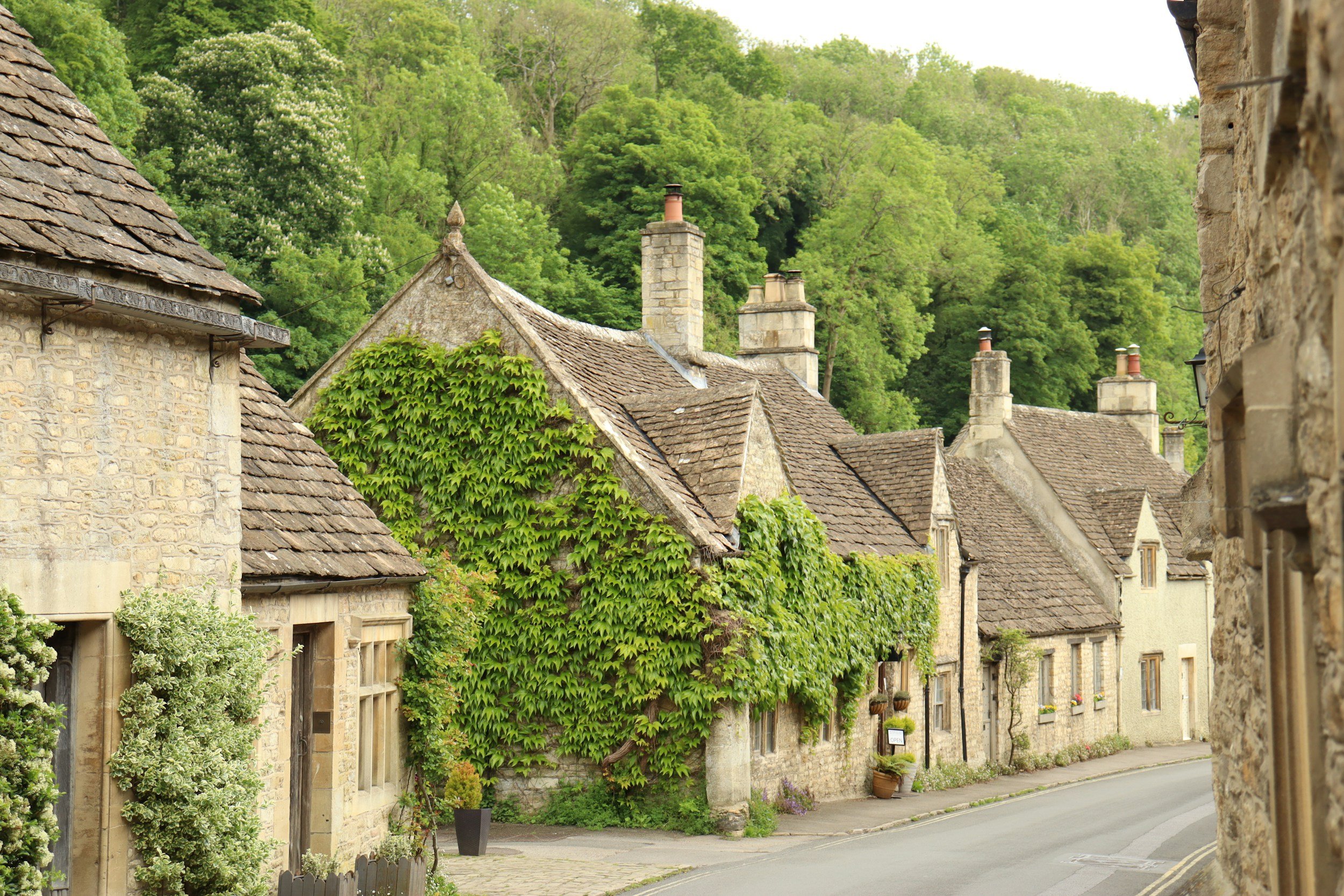 Charming historic village street lined with stone cottages covered in lush green ivy and surrounded by dense trees.