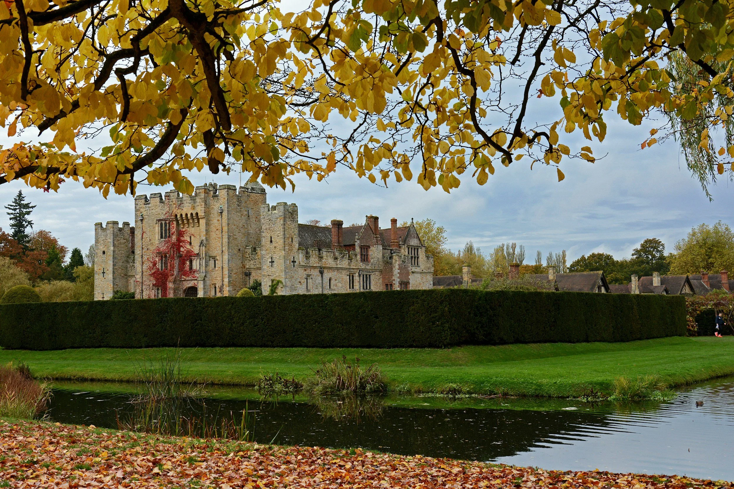 A castle with stone walls and battlements situated behind a manicured hedge, viewed through branches of a tree with yellow leaves, beside a pond with fallen leaves on the bank, under a cloudy sky.