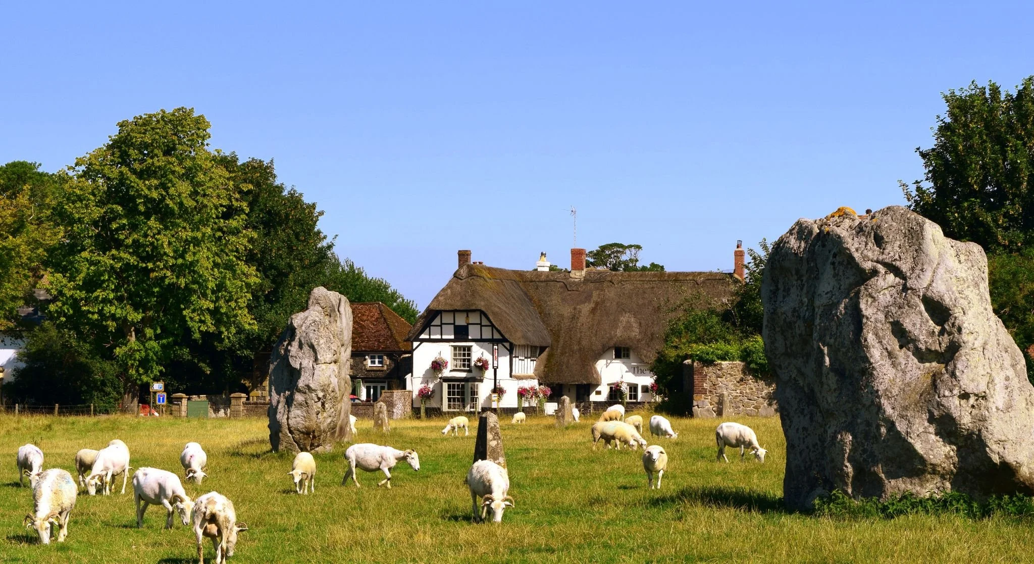 A peaceful countryside scene with sheep grazing in a green field, large trees on both sides, and traditional thatched-roof cottages in the background under a clear blue sky.
