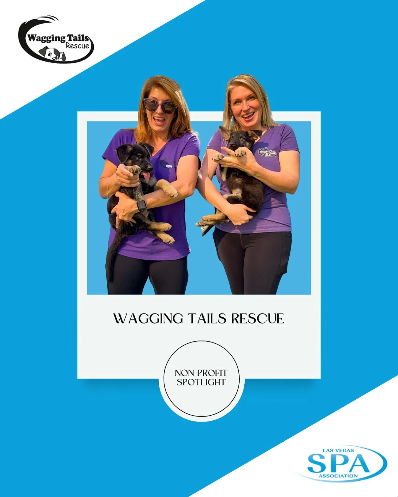 🐶 Thank you, Wagging Tails Rescue, for making our Puppy Yoga event extra special!

Our members couldn&rsquo;t get enough of the puppy snuggles and playful energy your rescues brought to the event. 🧘&zwj;♀️💙

Wagging Tails Rescue is a volunteer-run