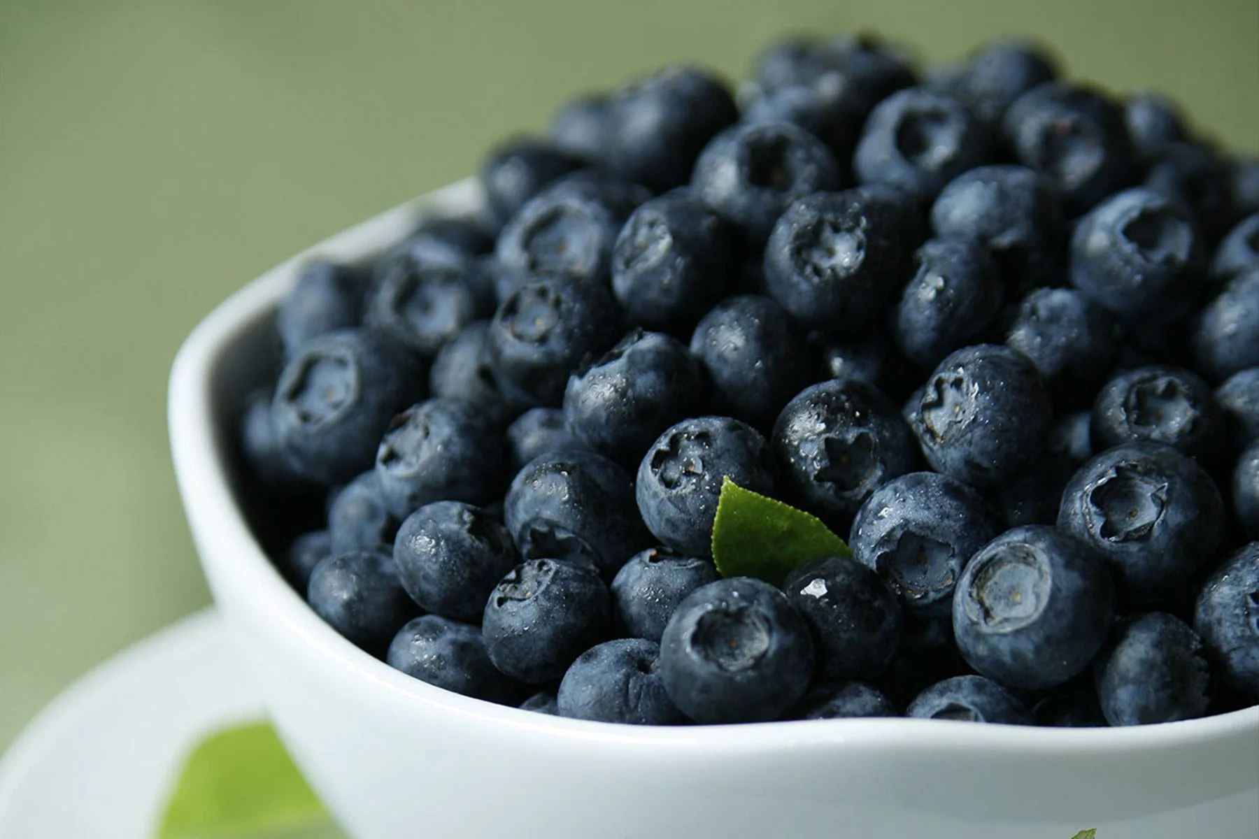 TFC-Blueberries.jpg