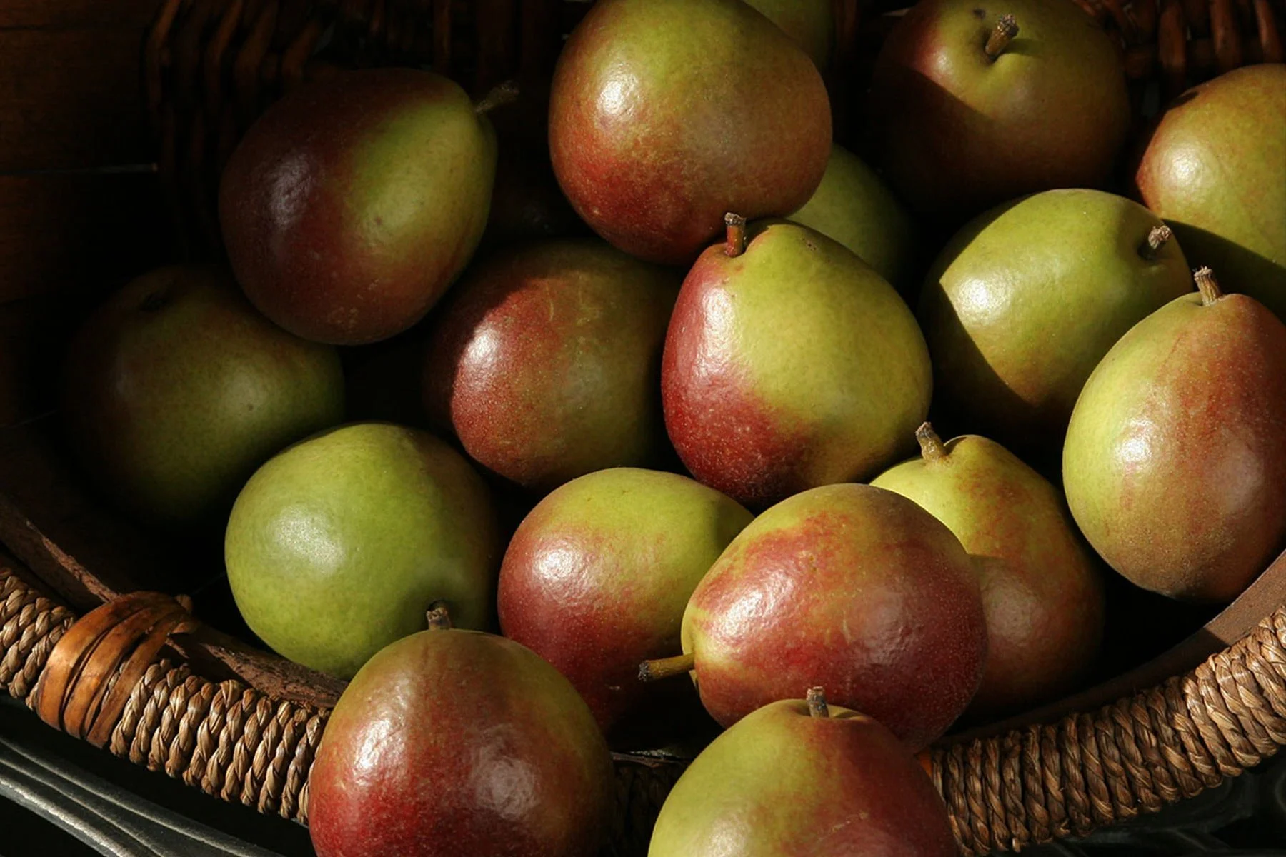 TFC-Seckel-Pears.jpg