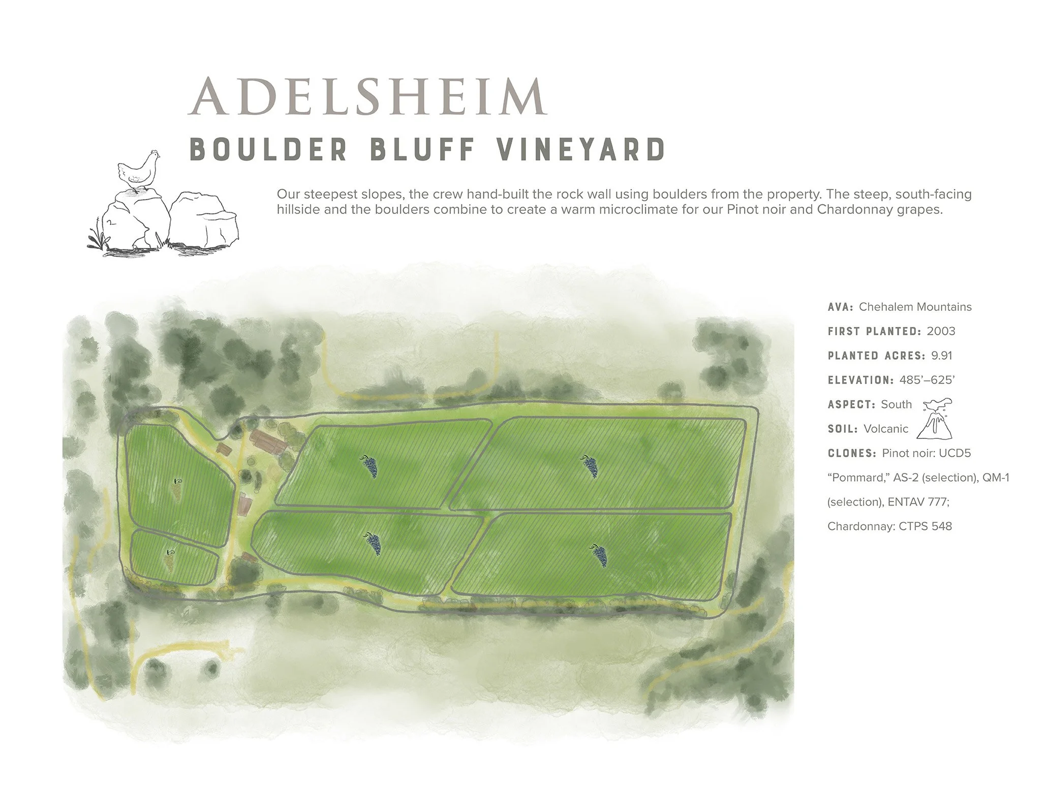One of several vineyard map illustrations. Each unique vineyard also includes a line drawing icon that exemplifies the unique identity of the plot. These maps were used all over their website, signage, and print materials. Work includes: illustration