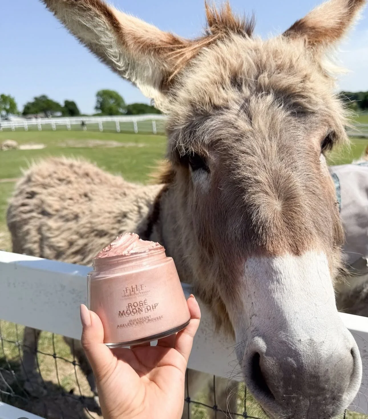 NEW &amp; FABULOUS!!🤩🤩🤩🤩

Have you heard of @farmhousefresh ???

 Our new body and facial obsession!

Beautiful skin, beautiful mission 💚 Farmhouse Fresh gives back to animal rescue with every product &mdash; now available at Fabtique!

Stop in 