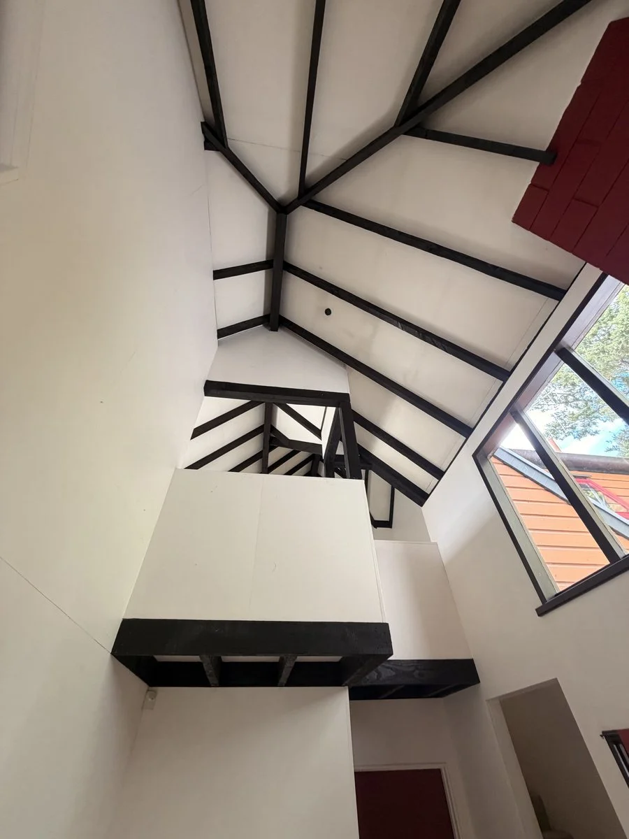 interior-vaulted-ceiling-black-exposed-beams-white-painted.jpg