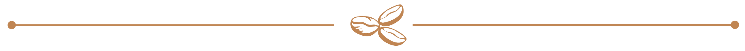Brown decorative border with a bow in the center.