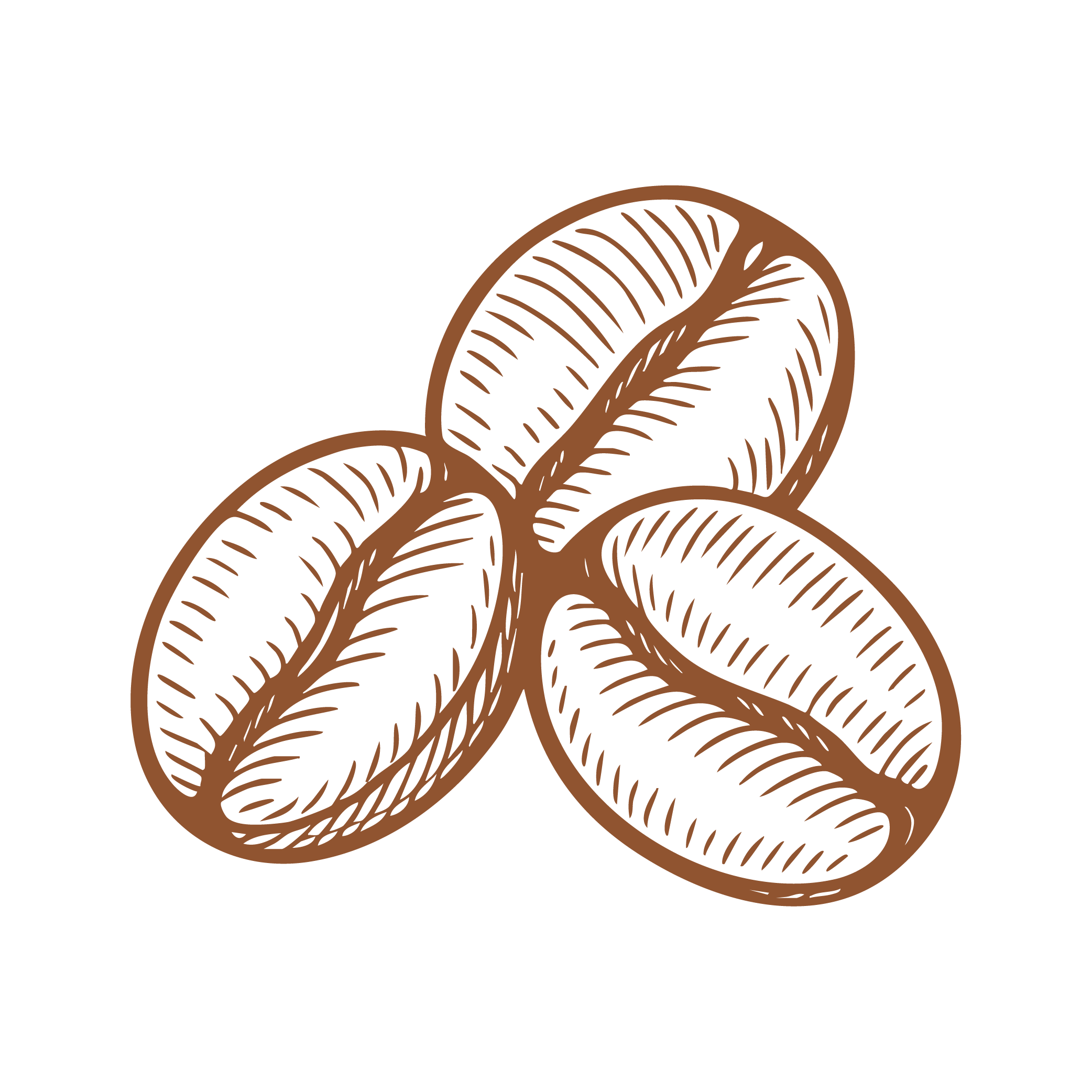 Illustration of three coffee beans with detailed line work on a black background.