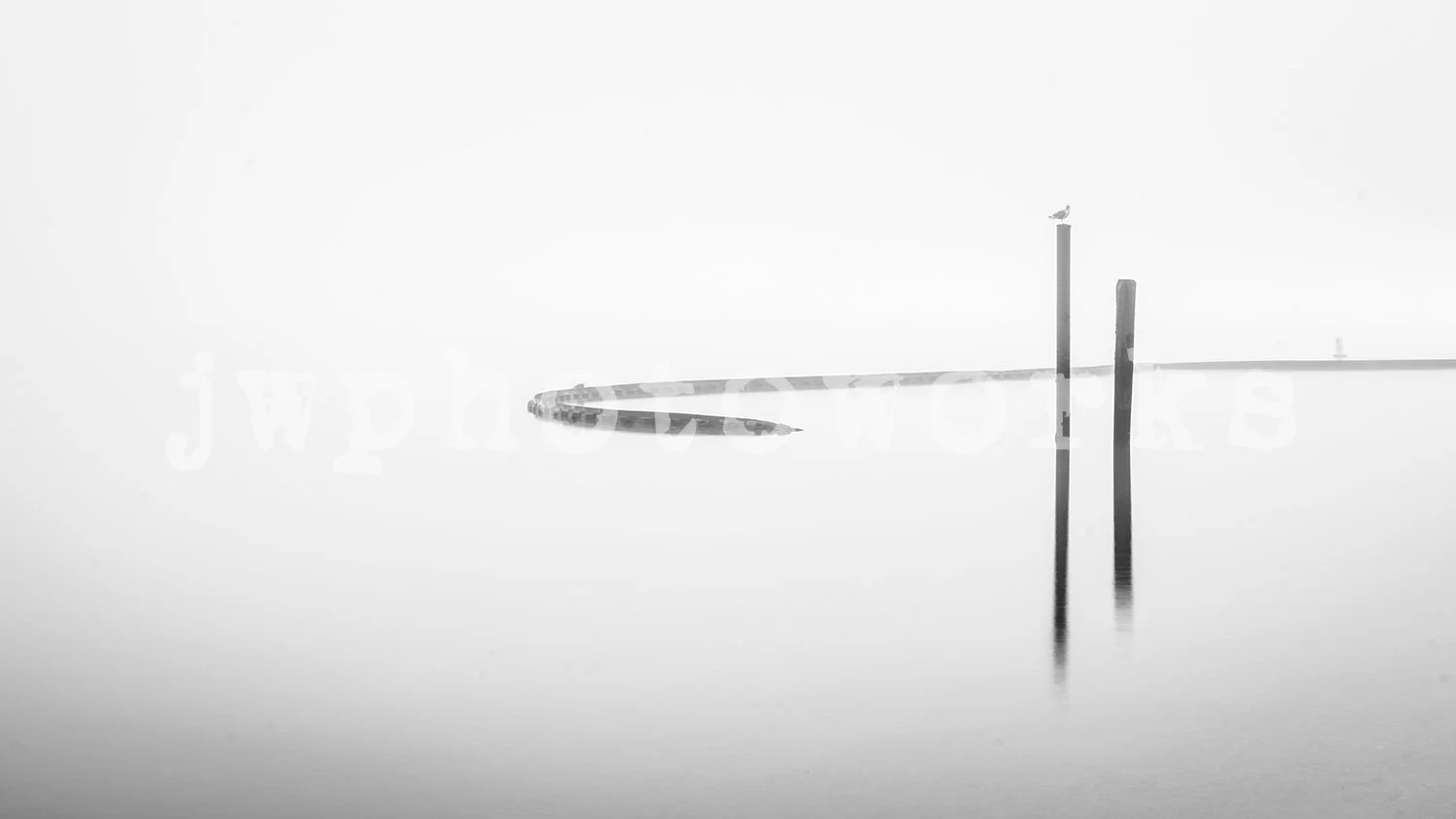 Misty Morning - High Resolution Digital File Download