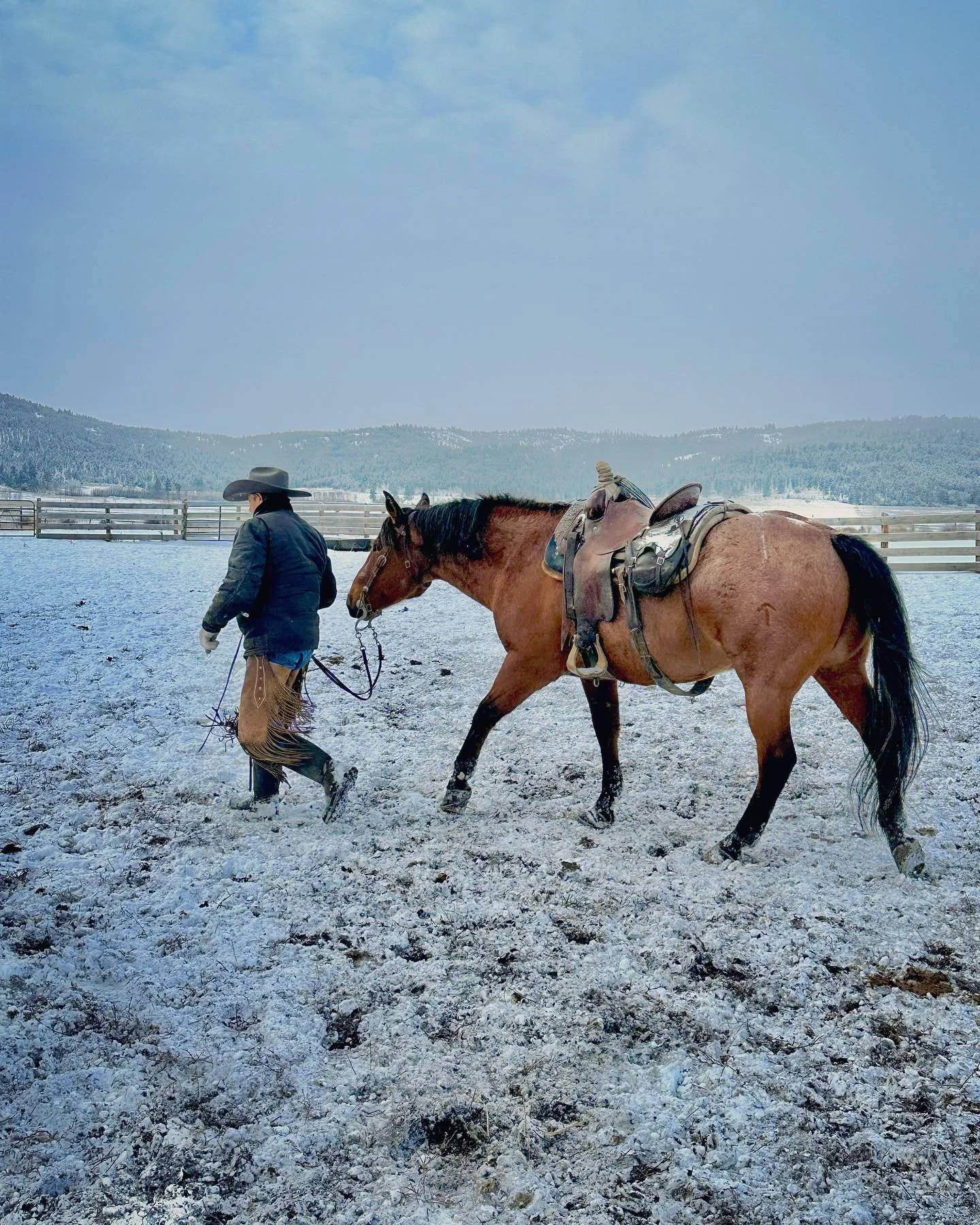 #meyercompanyranch .
.
.
.
.
 #cattlerancher #horses #ranchlife #horsesofinstagram #horselove #equine #aqha #horsey #ranch #cattleranch #horse #ranchhorse #cowboyway #horsephotography #ranchphotography #quarterhorse #ranchin #quarterhorsesofinstagram