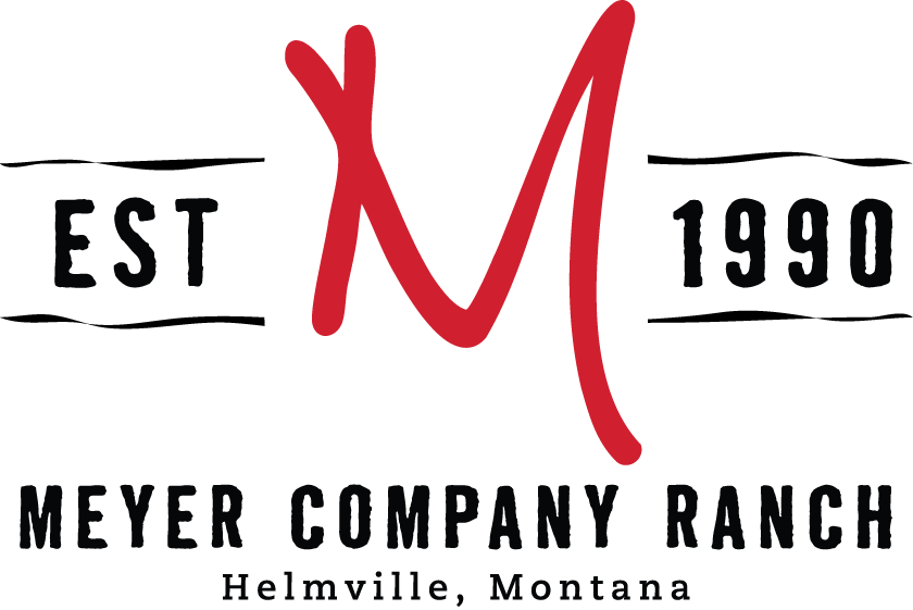 Meyer Company Ranch | Registered Red Angus in Montana