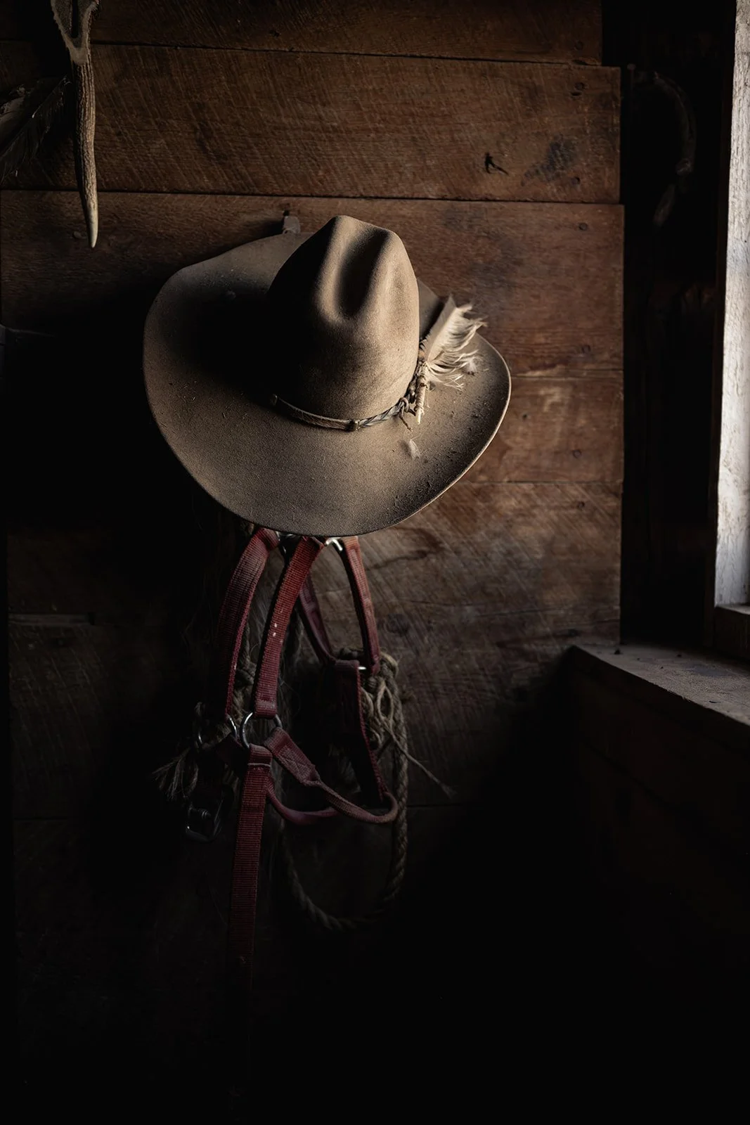 A cowboy hat, with a feather and hatband, hangs on a hook inside a rustic wooden room. A red harness and rope are also hanging from the hook.